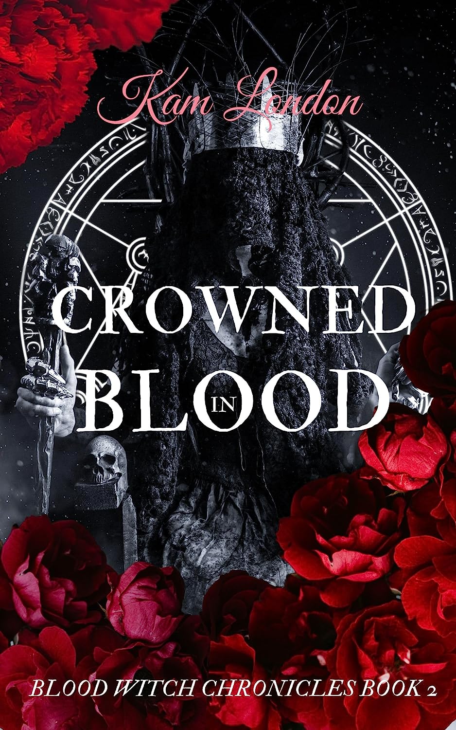 Blood Witch Chronicles book cover 1