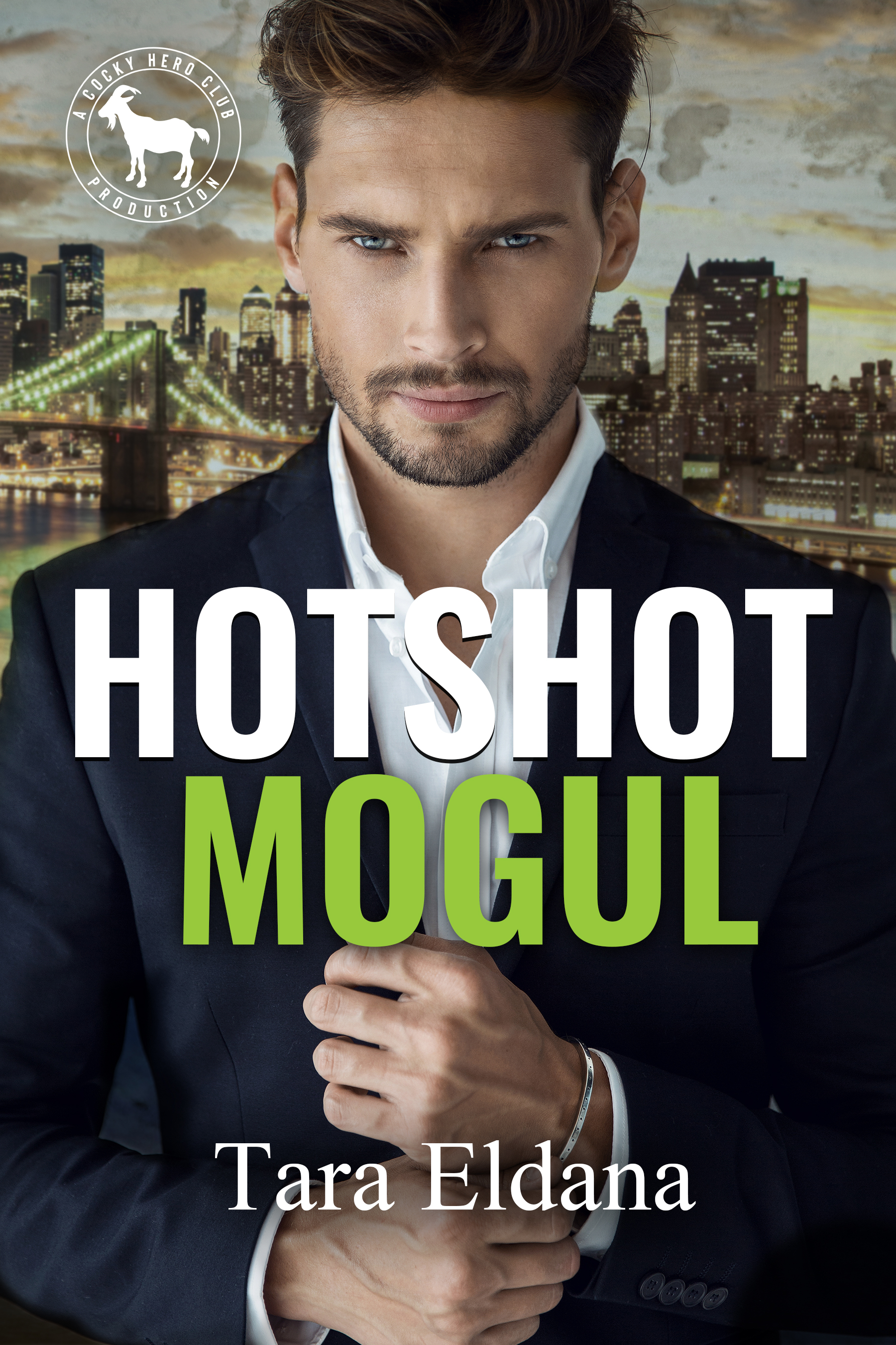 Hotshot Mogul book cover