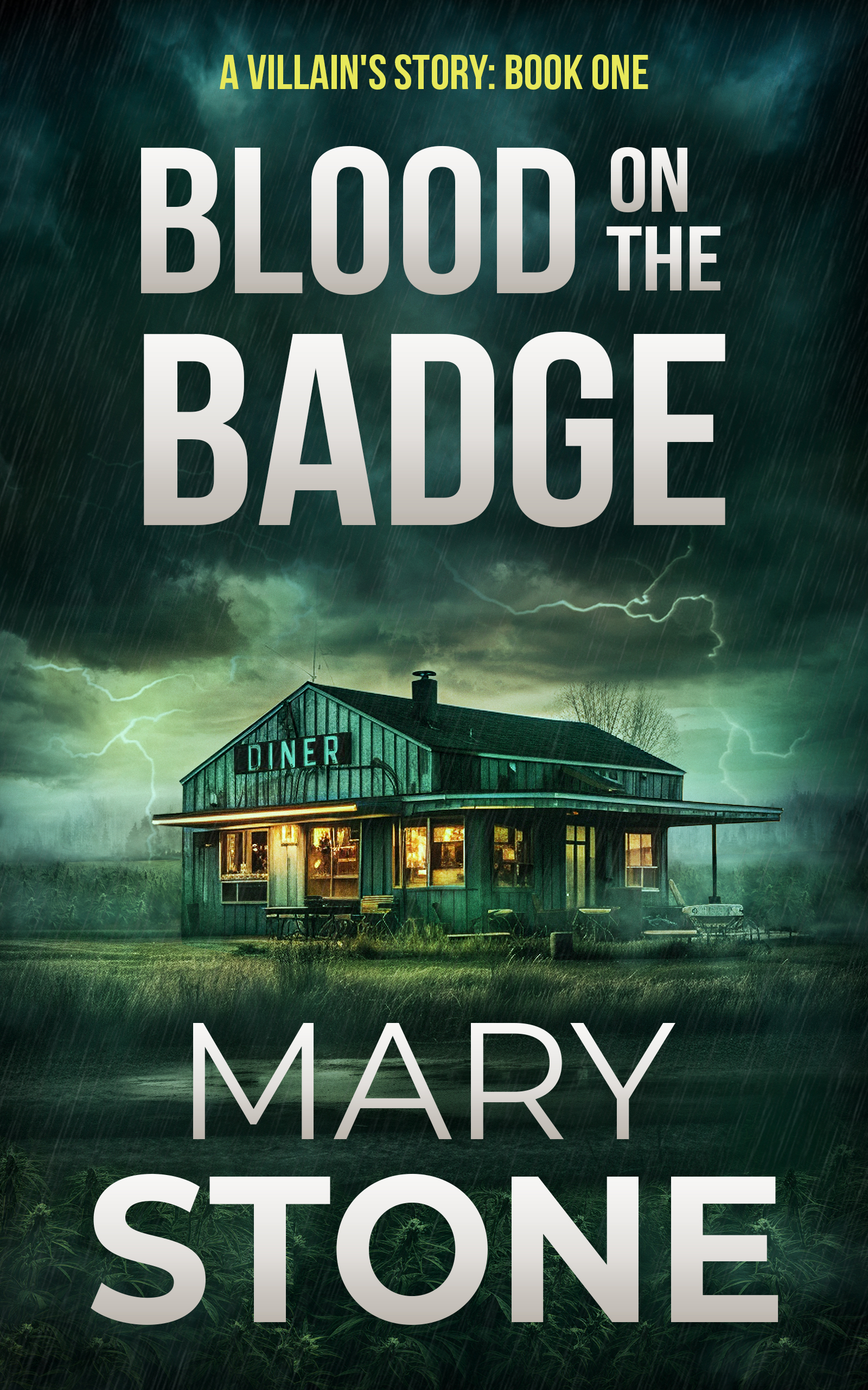 Blood on the Badge book cover