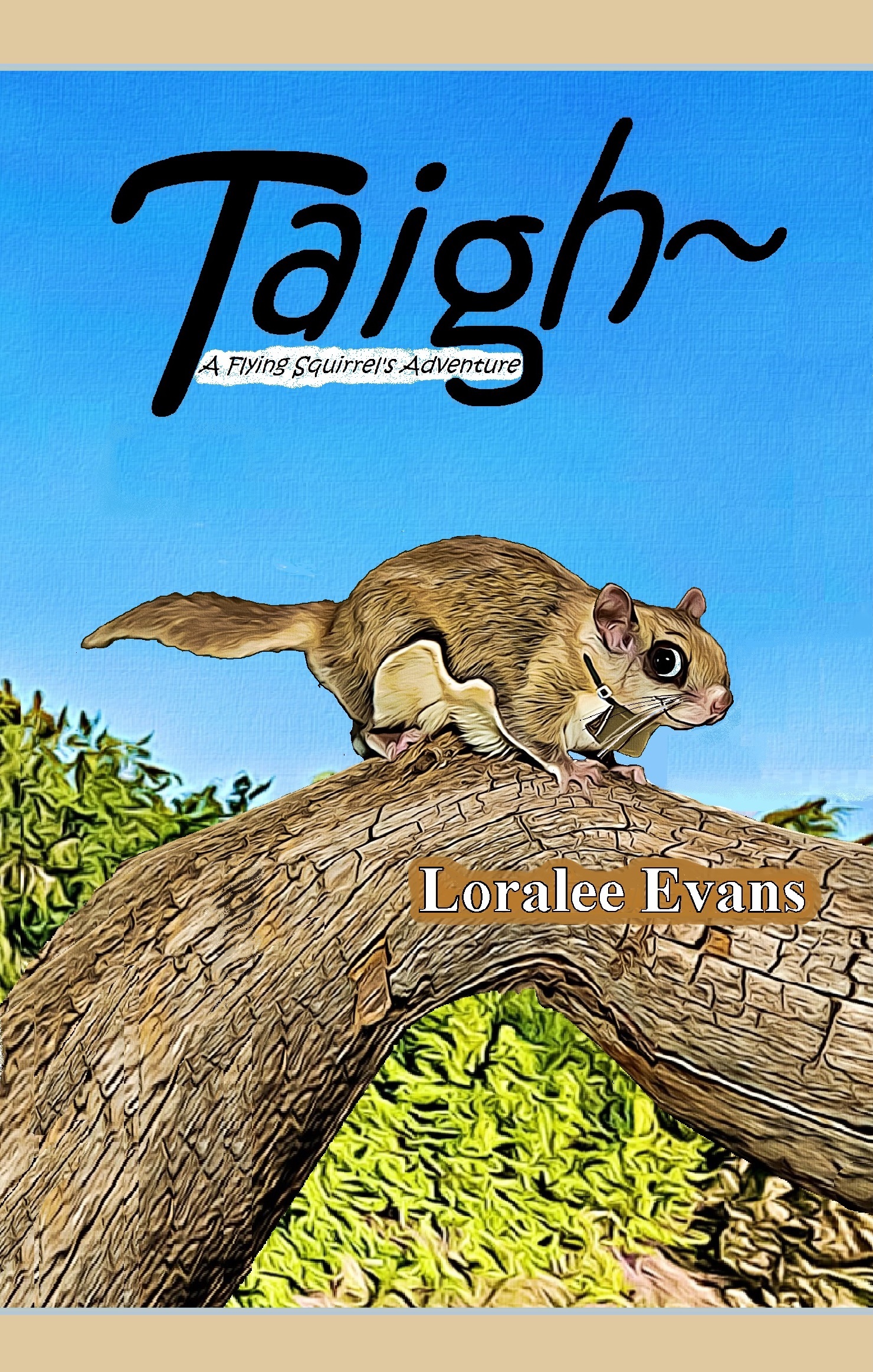 taigh-a-flying-squirrel-s-adventure-by-loralee-evans-goodreads