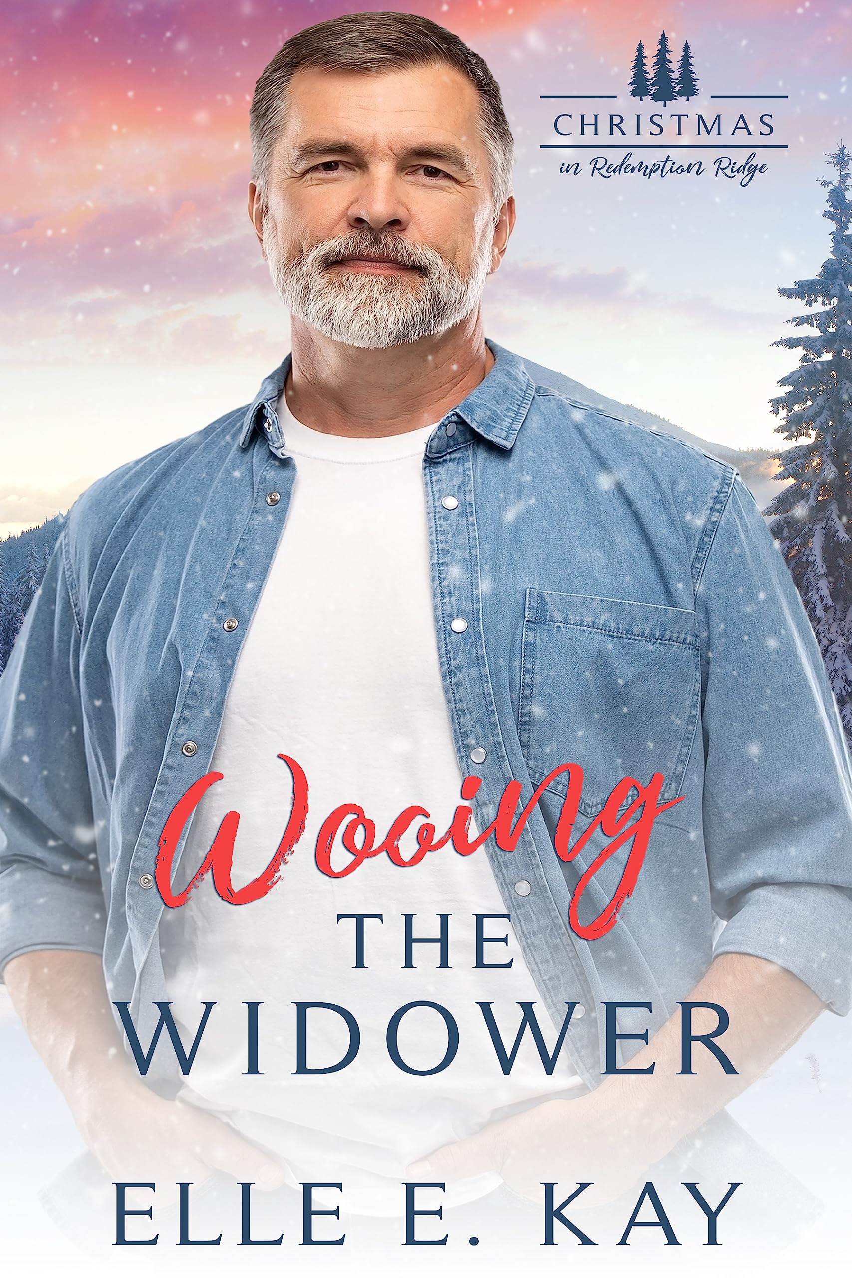 Wooing the Widower book cover