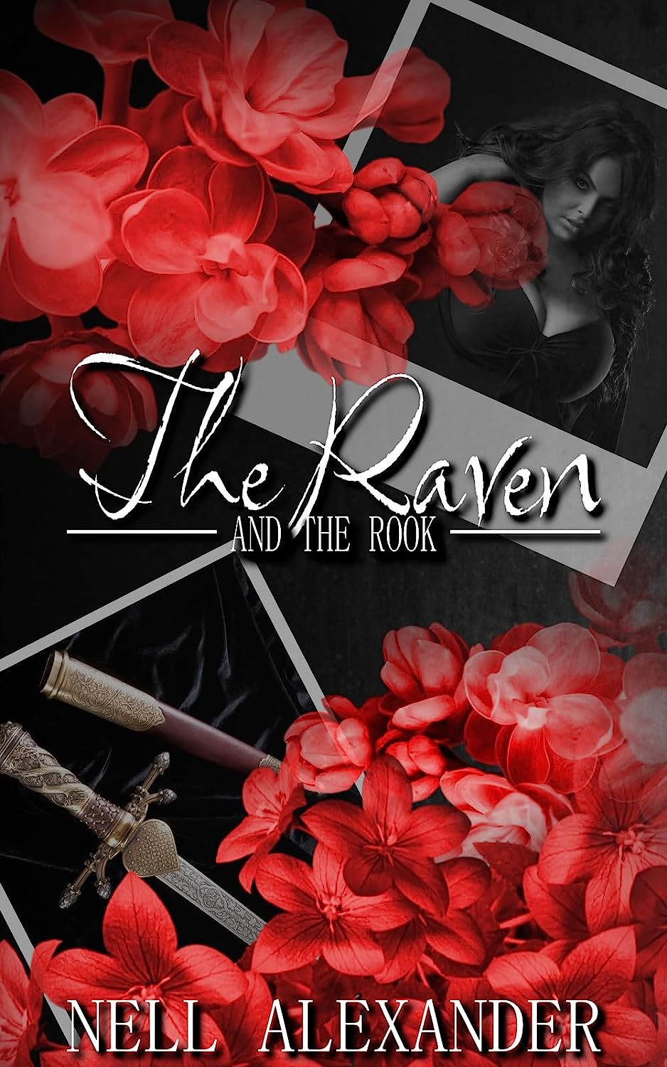 The Raven and the Rook book cover