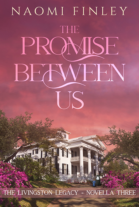 The Promise Between Us: Mammy's Story
