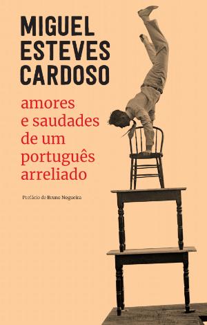Amores e Saudades de um Português Arreliado book cover