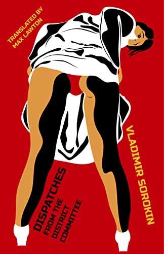 Dispatches from the District Committee book cover