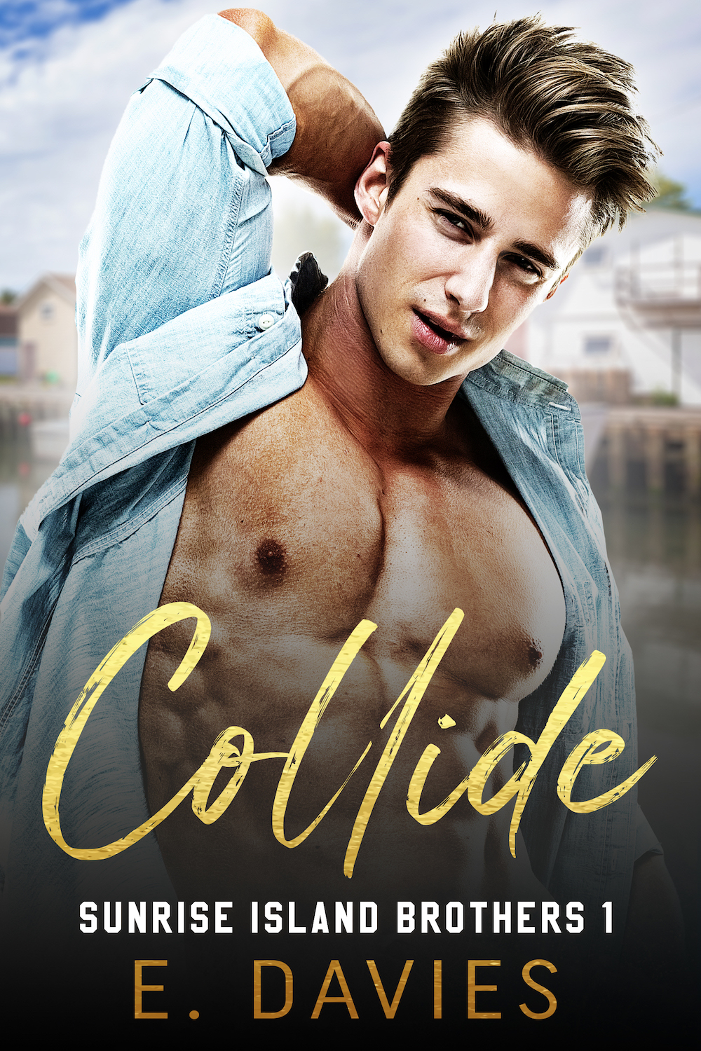 Sunrise Island Brothers book cover 1