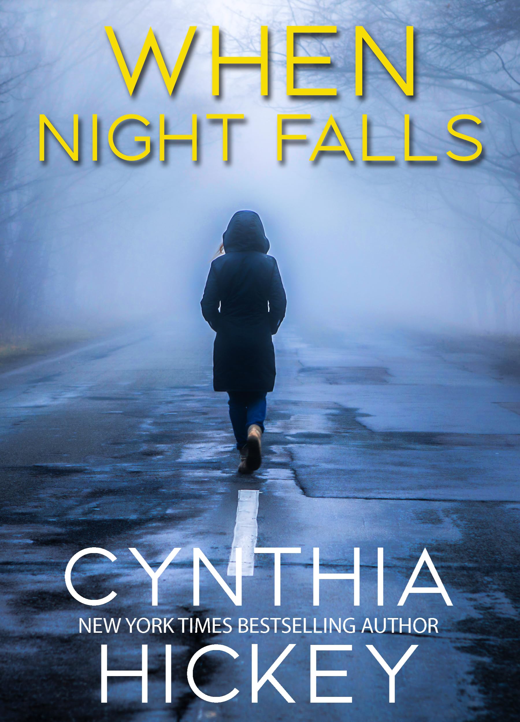 When Night Falls book cover