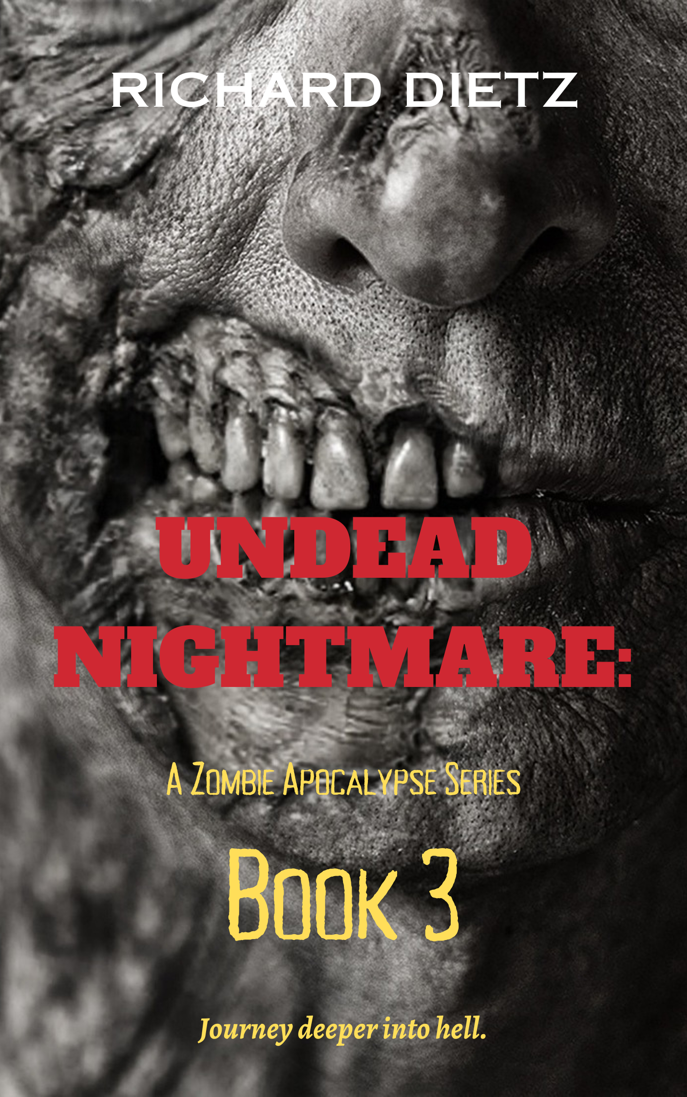 Undead Nightmare : Book #3