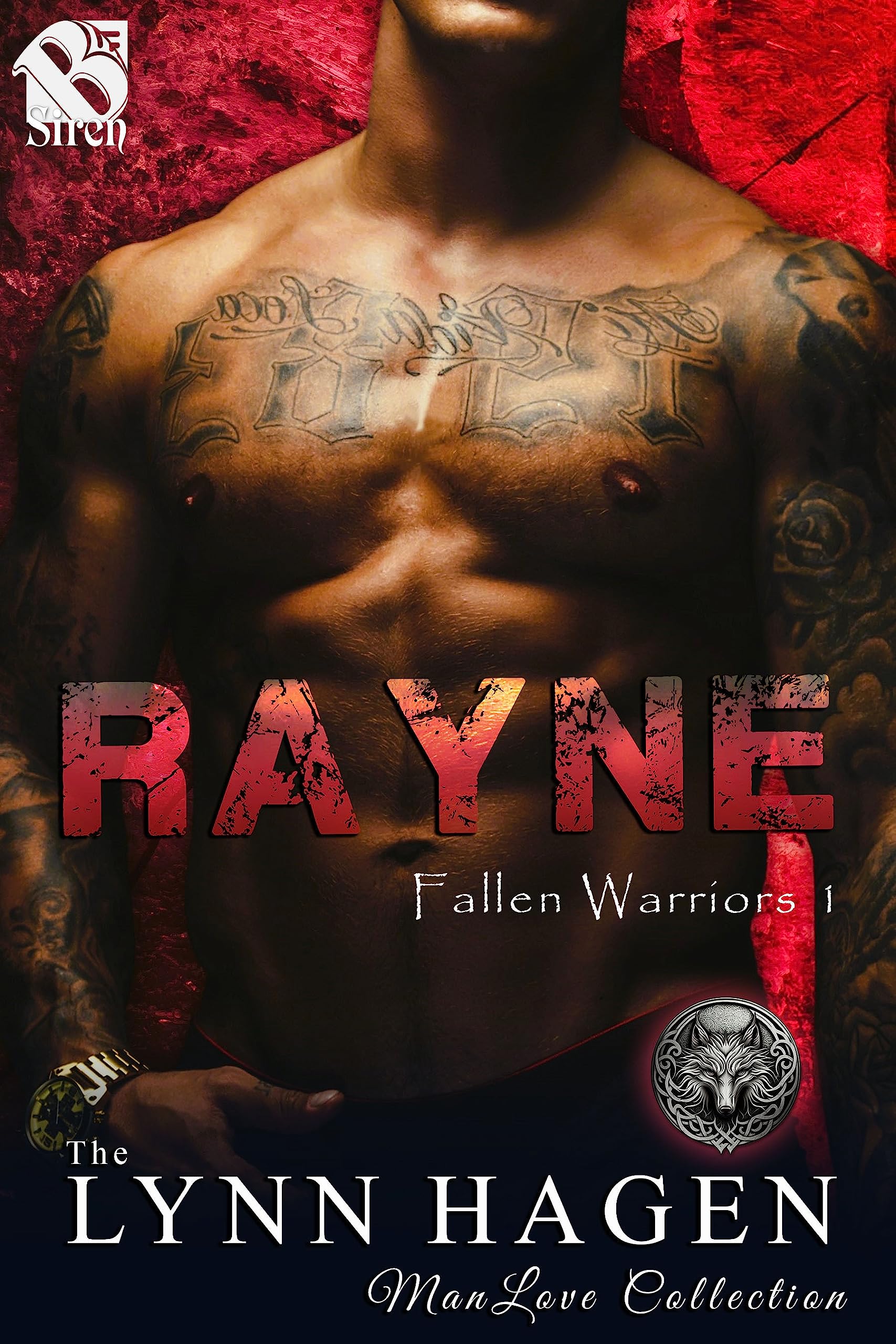 Fallen Warriors book cover 1