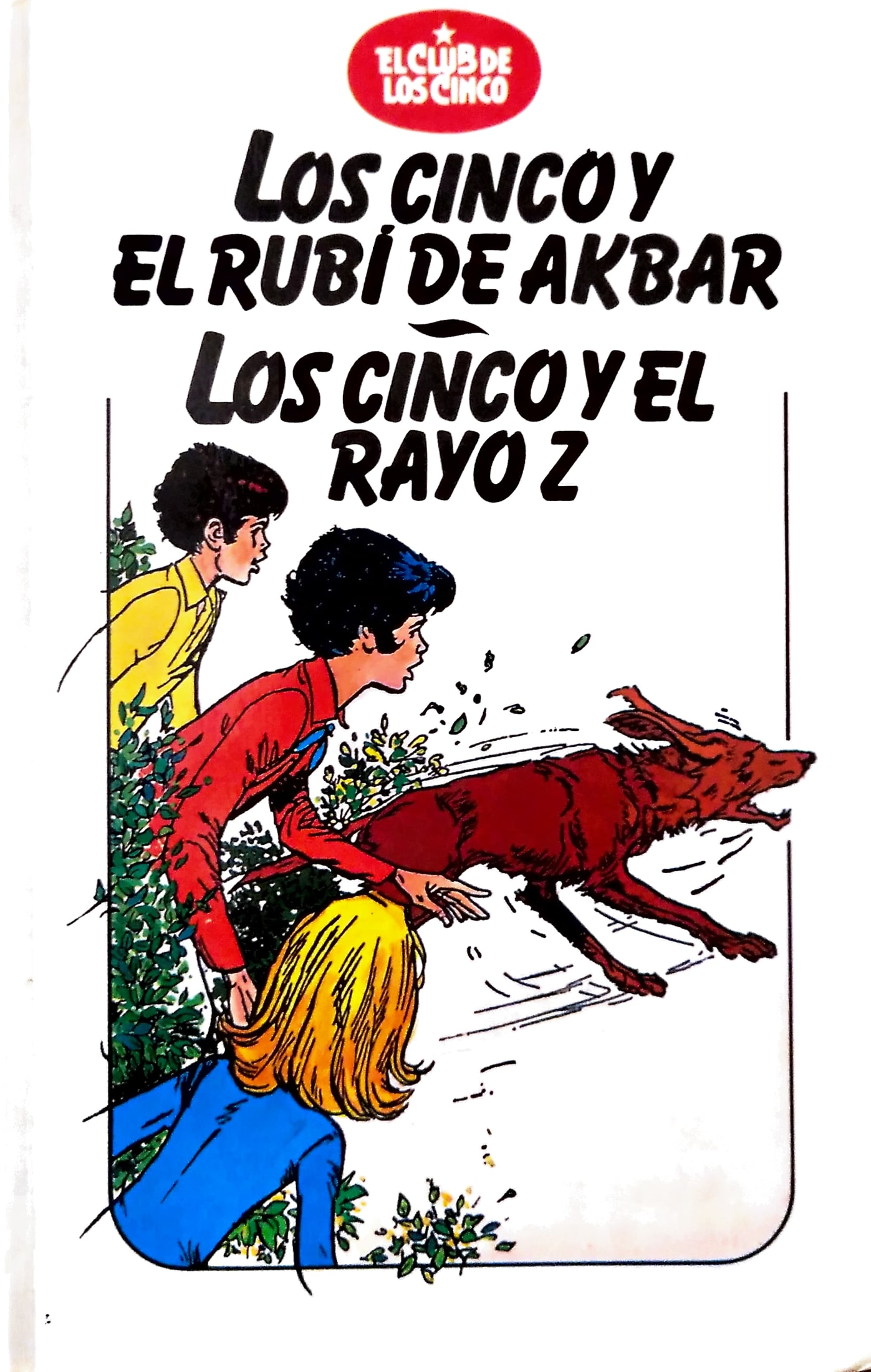 Los Cinco y el rubí de Akbar; Los Cinco y el rayo Z book cover