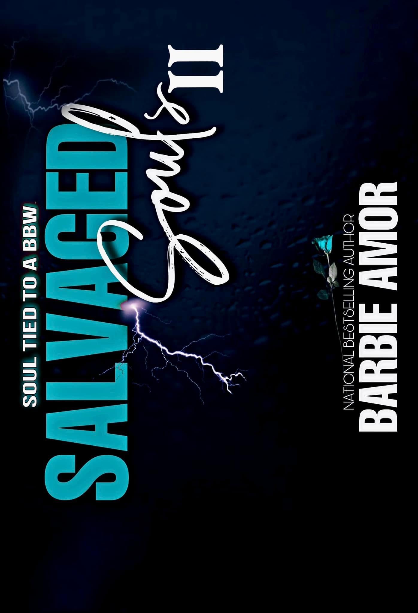 Salvaged Souls 2: Soul Tied To A BBW