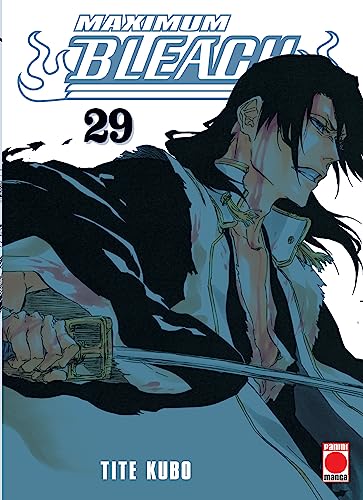 Bleach, vol. 29 book cover