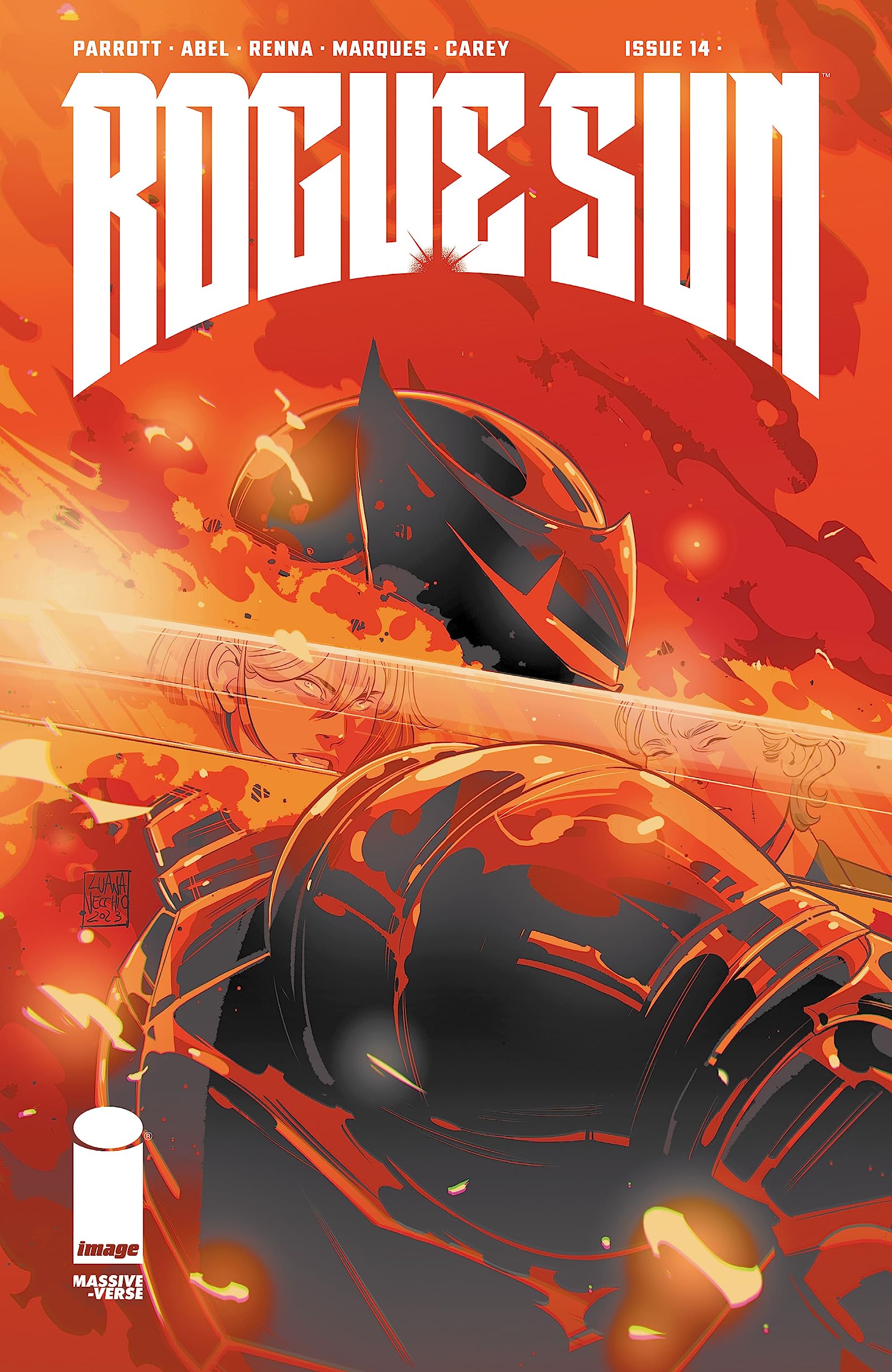Rogue Sun #14 book cover