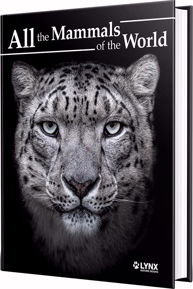 洋書 CLASSIC NATURAL HISTORY PRINTS MAMMALS 洋書 CLASSIC NATURAL HISTORY PRINTS MAMMALS 洋書 CLASSIC