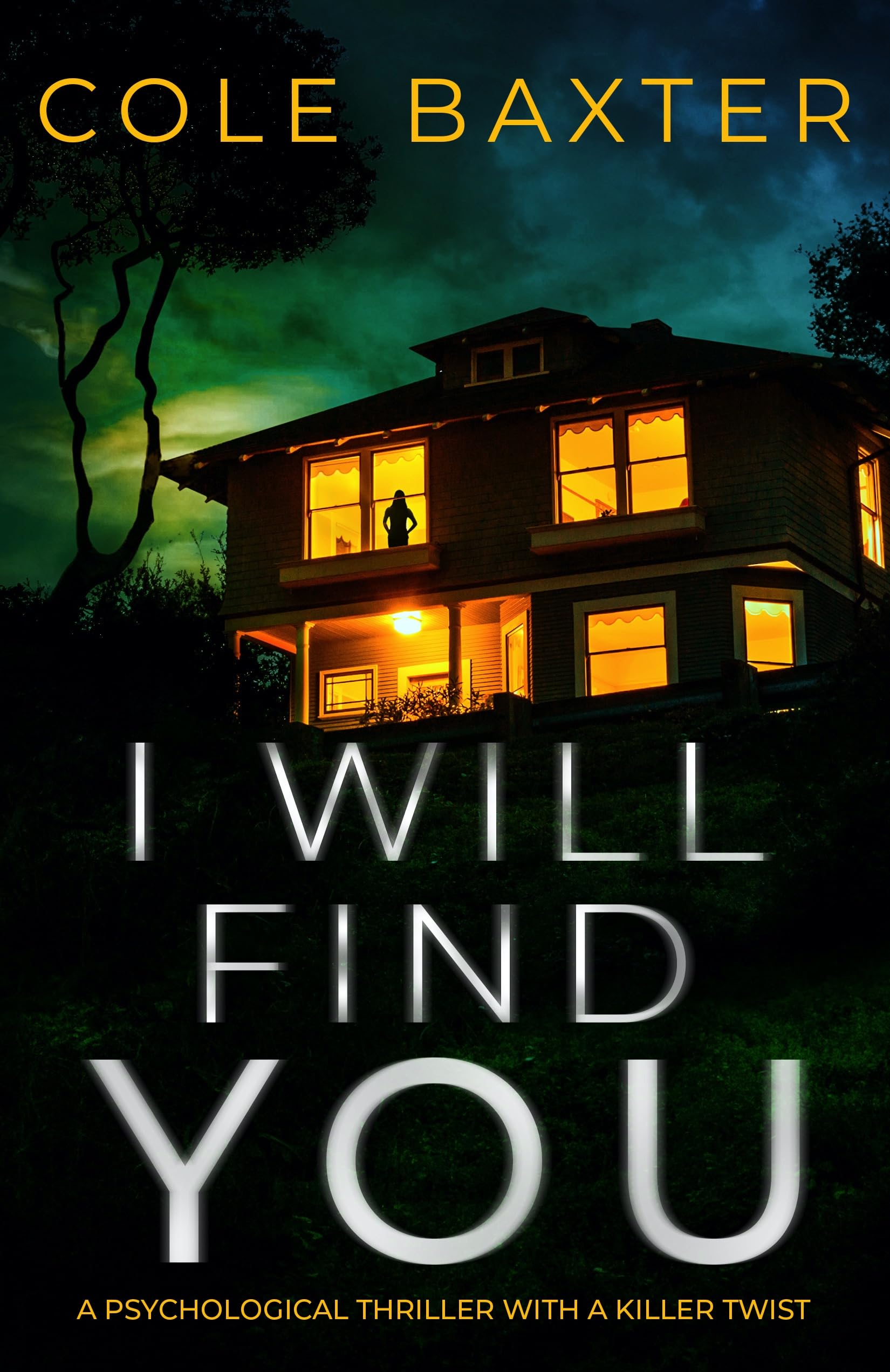 I Will Find You book cover