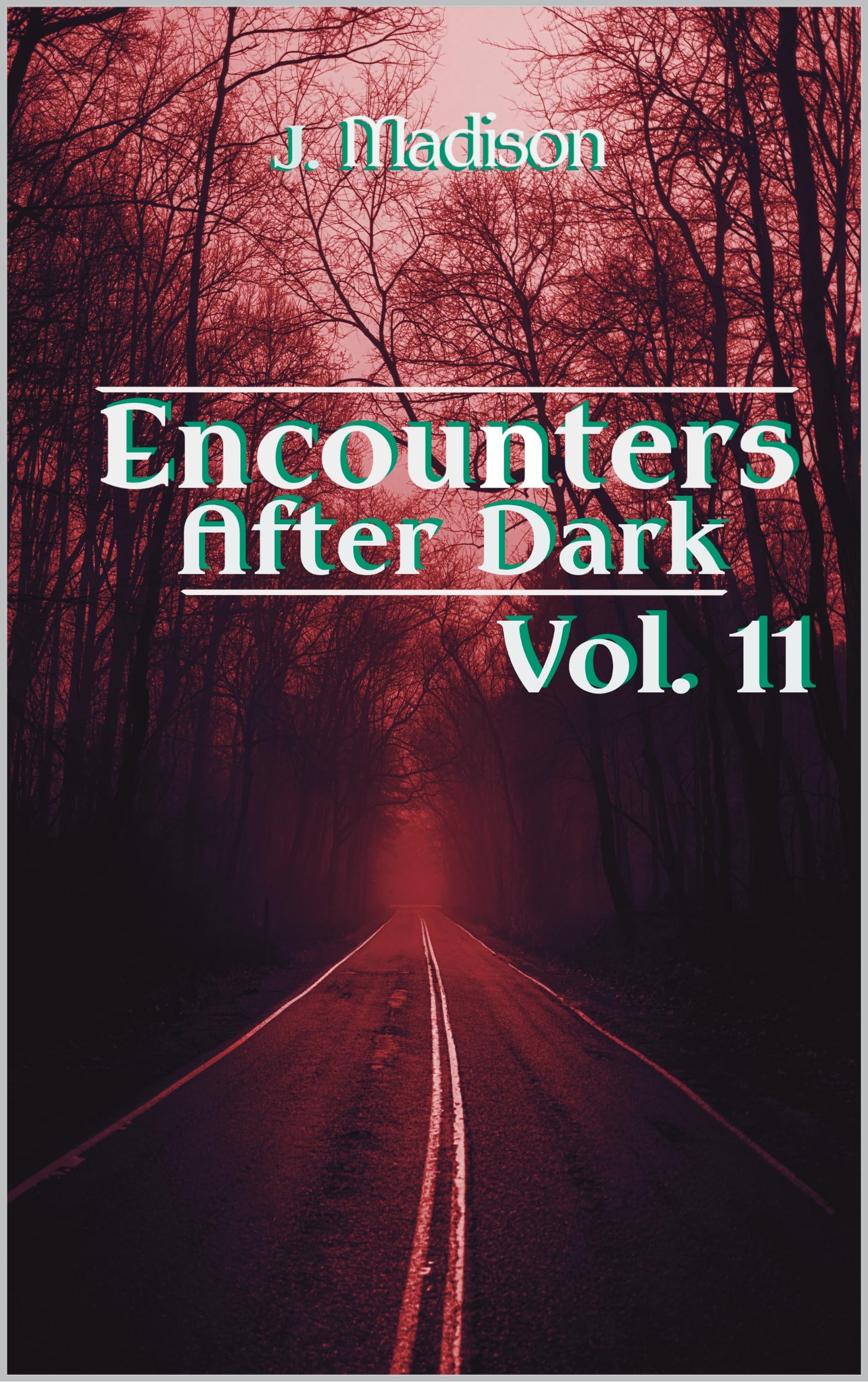 Encounters After Dark: Volume 11