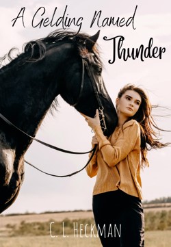 A Gelding Named Thunder
