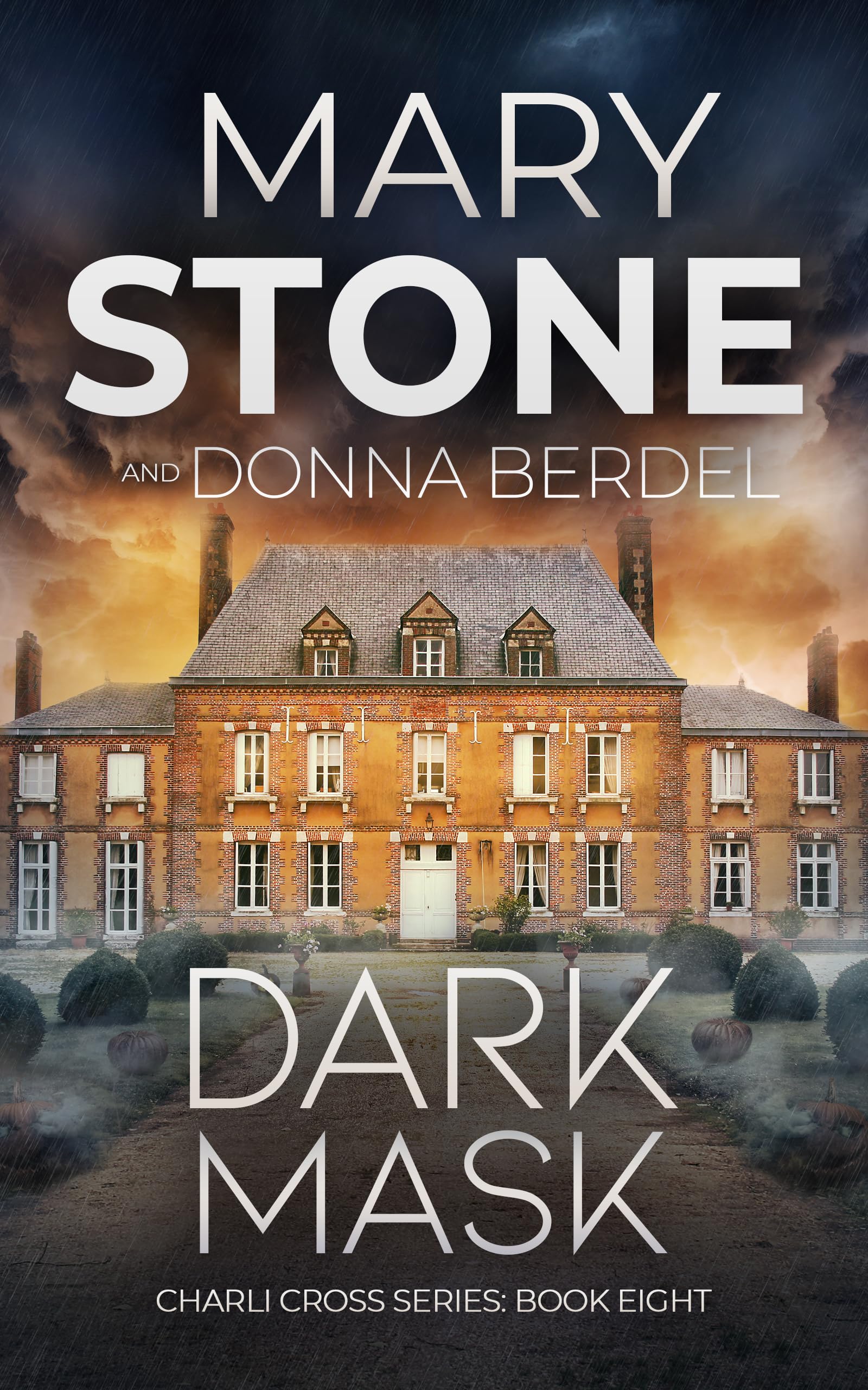 Dark Mask book cover