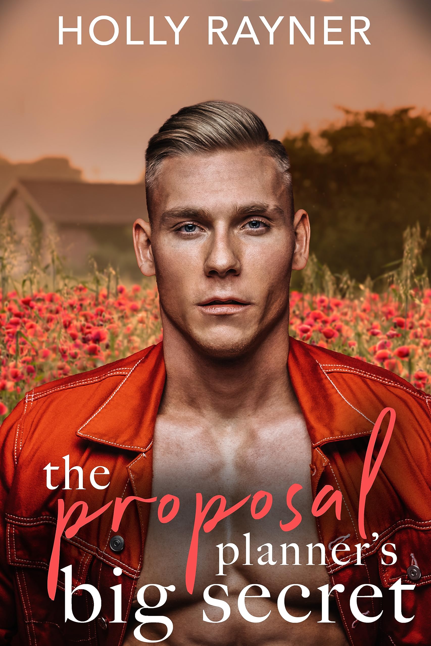 The Proposal Planner's Big Secret book cover