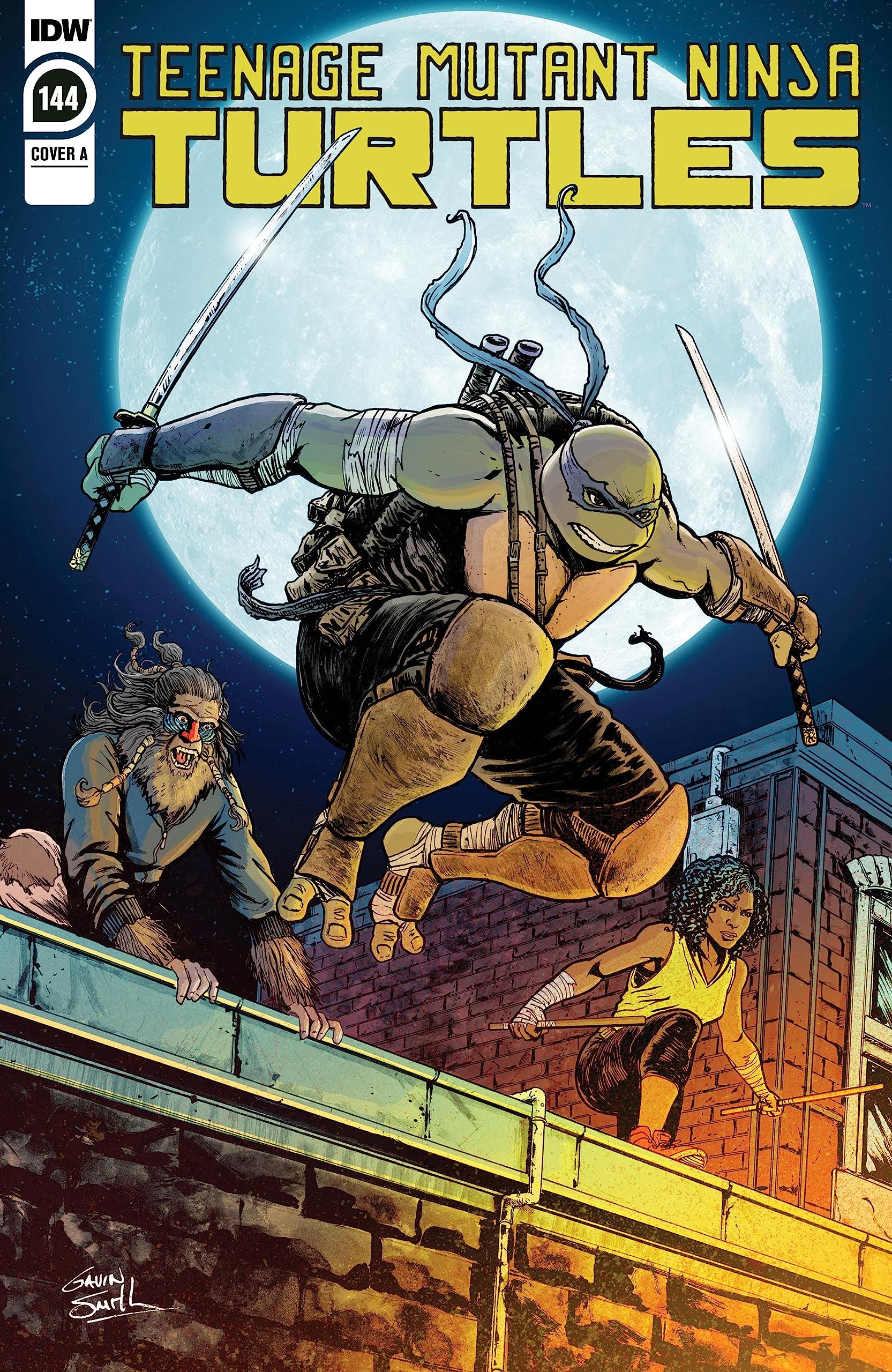 Teenage Mutant Ninja Turtles #144 book cover