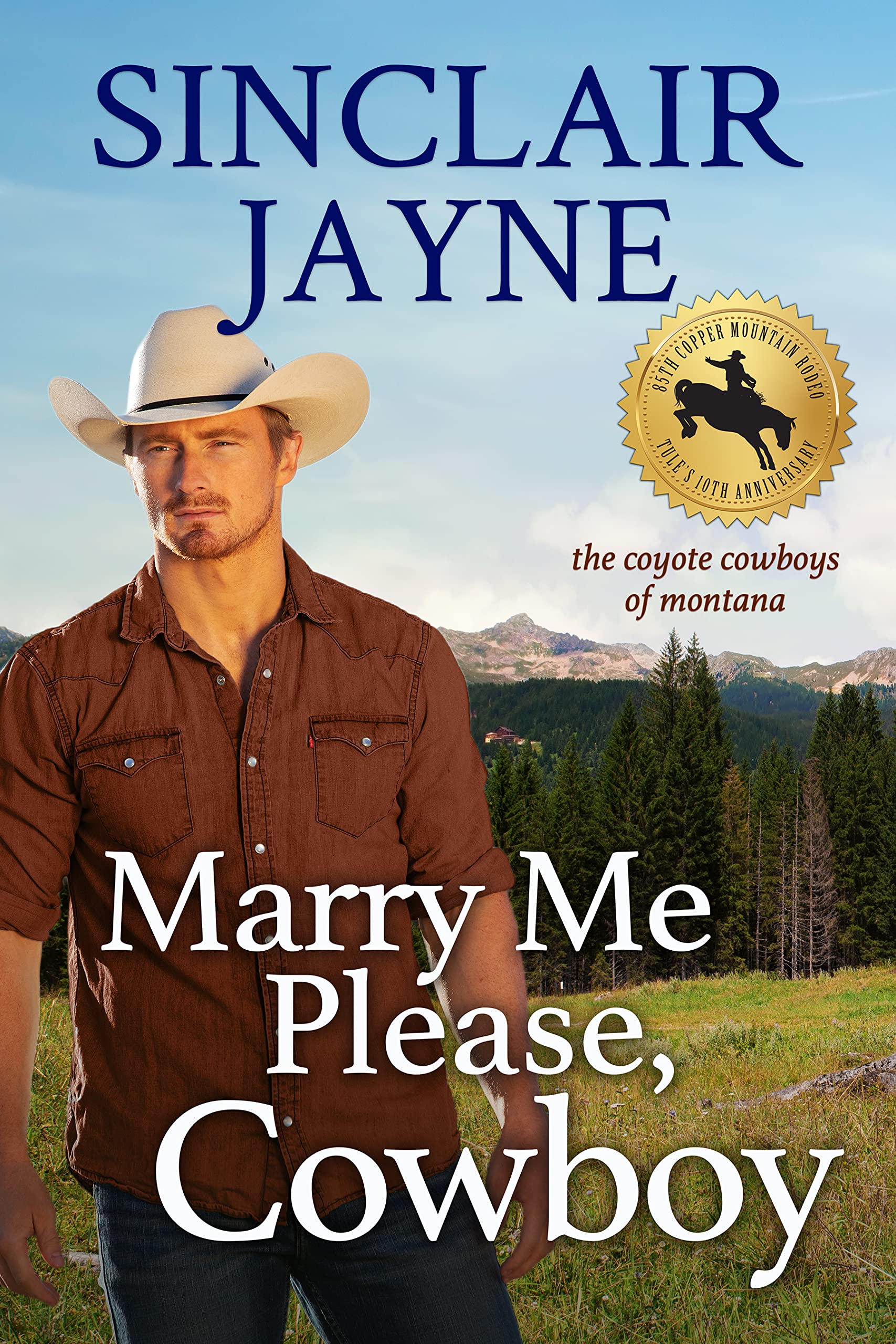 Marry Me Please, Cowboy book cover