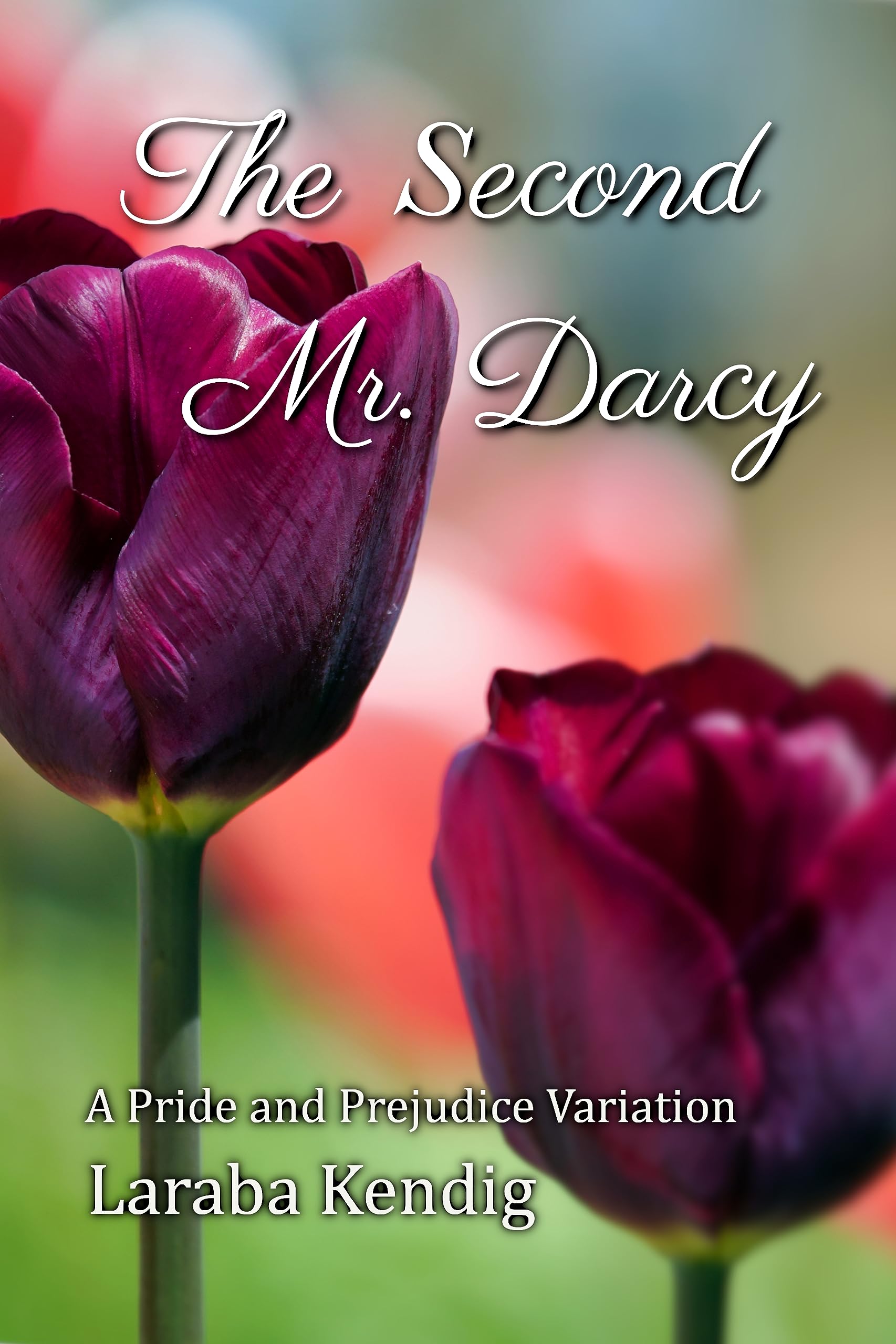 The Second Mr. Darcy: A Pride and Prejudice Variation