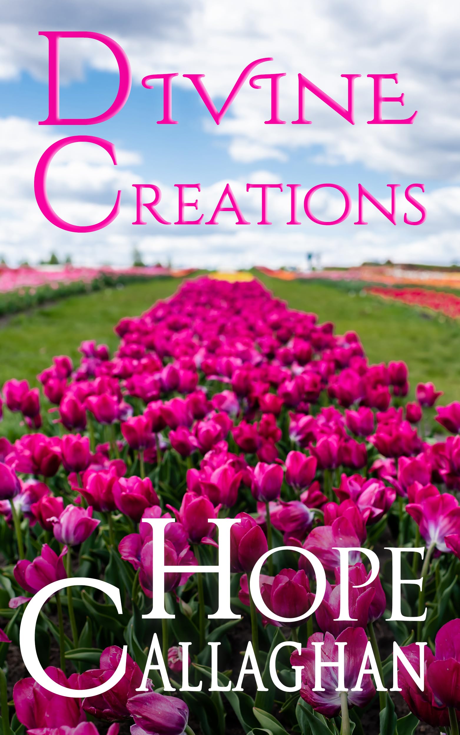 Divine Creations book cover