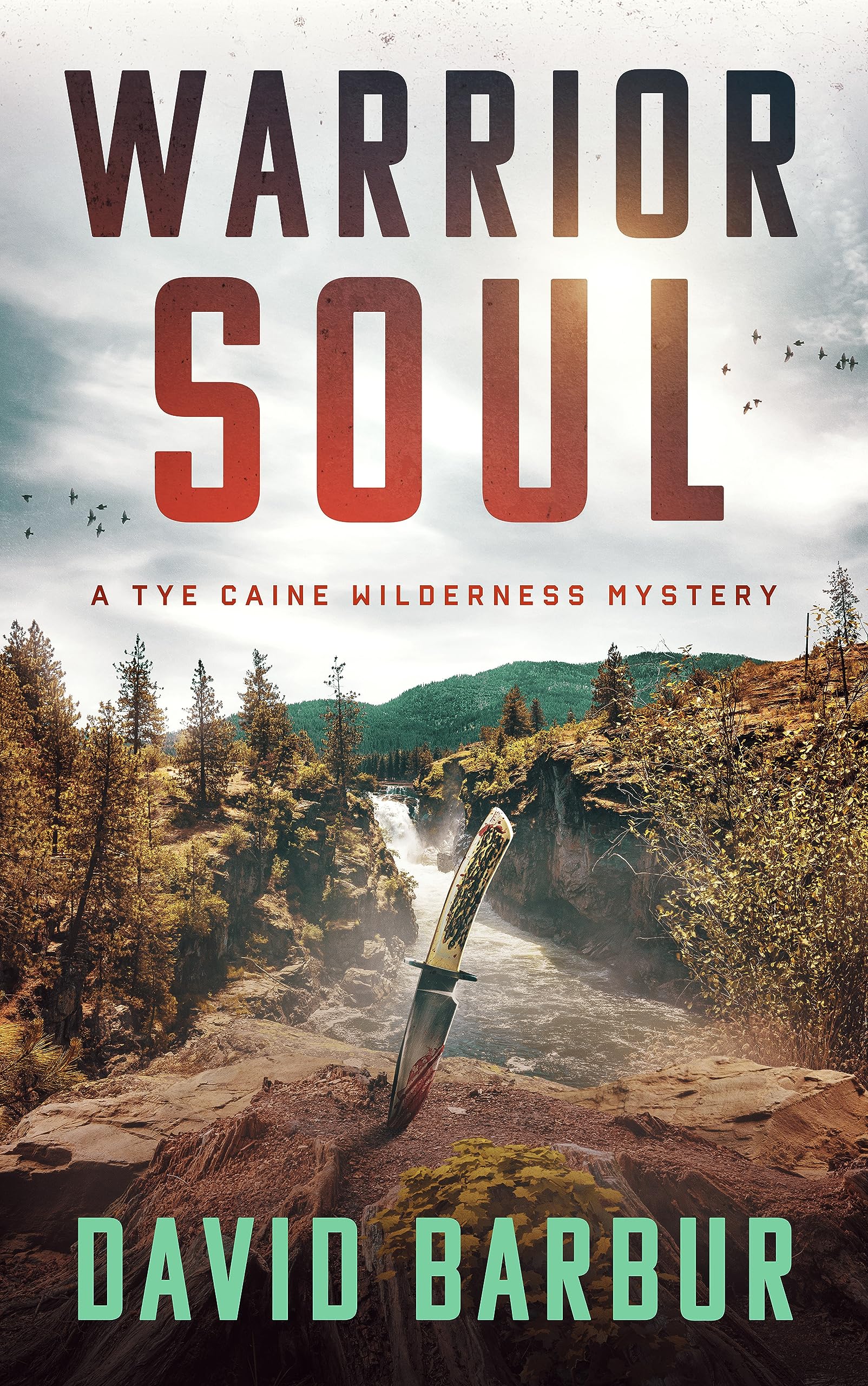 Tye Caine Wilderness Mysteries book cover 3
