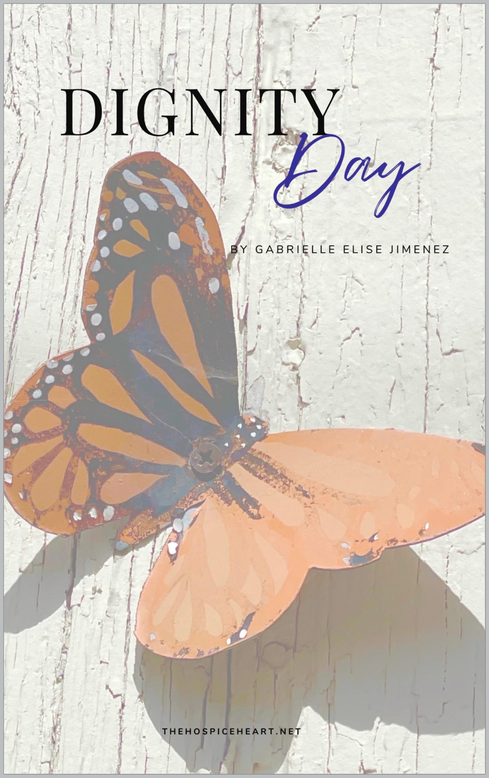 dignity-day-a-guidebook-for-anyone-searching-for-comfort-and-clarity