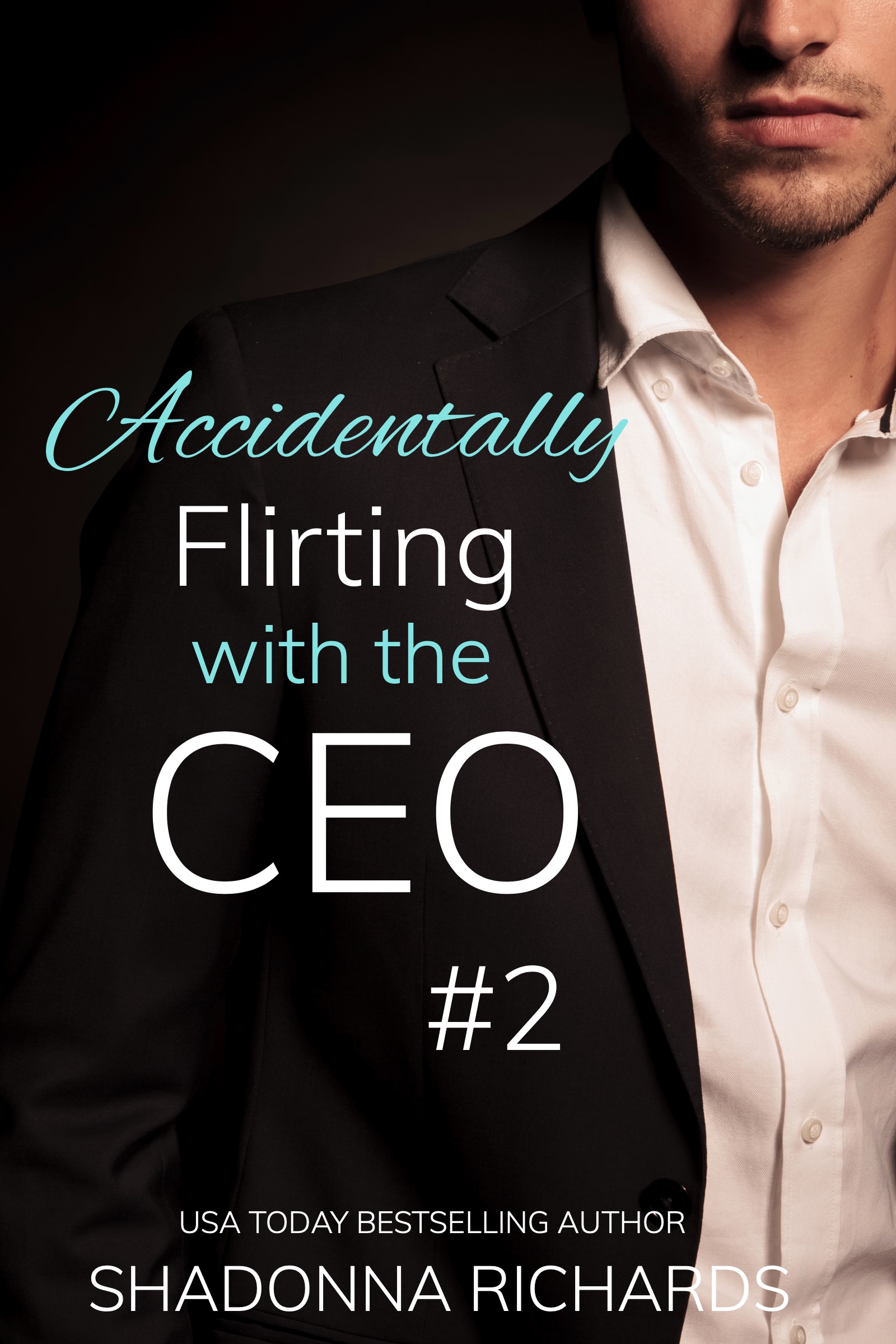 Accidentally Flirting with the CEO 2 book cover