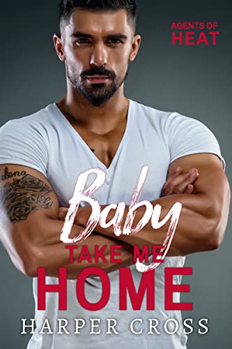 Baby Take Me Home book cover