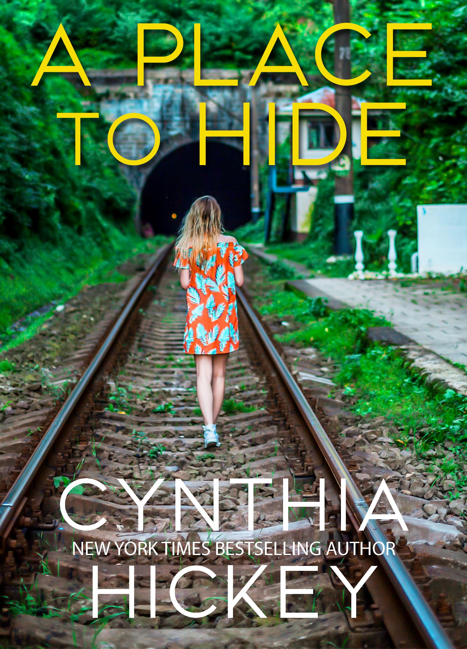 Misty Hollow book cover 3