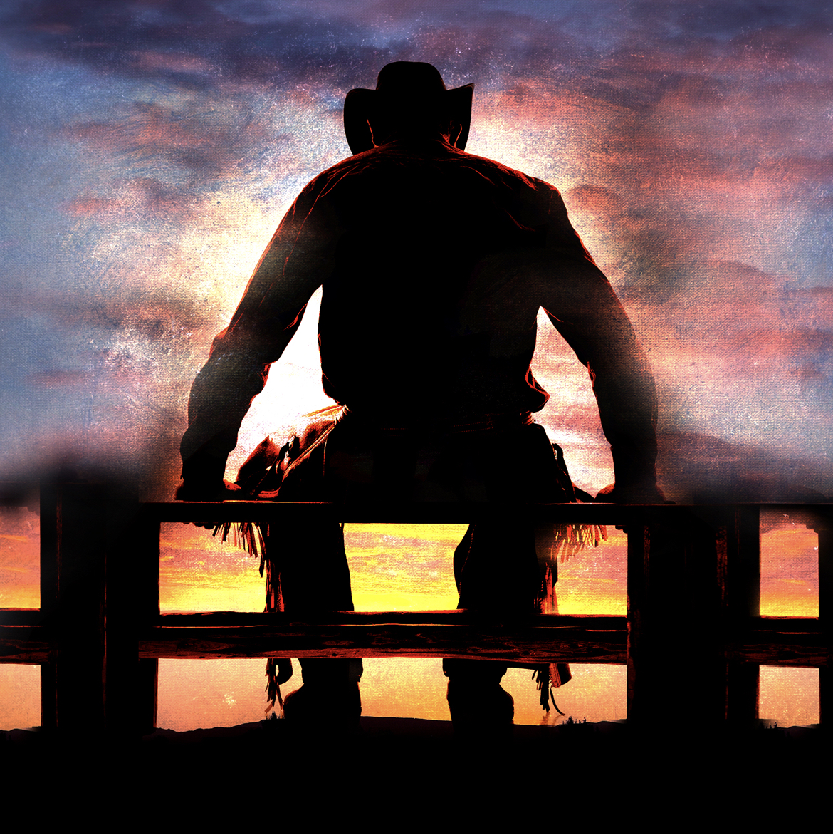 Buckles and Bulls book cover