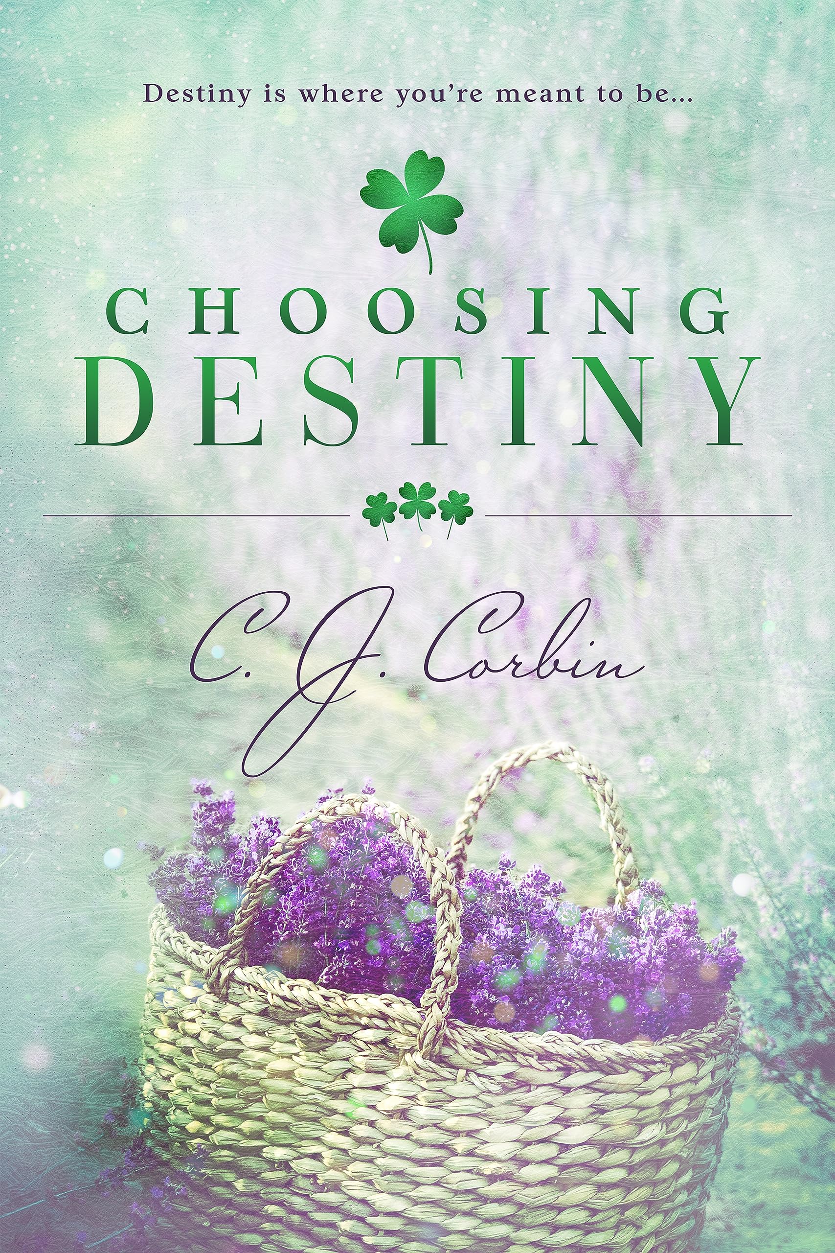 Choosing Destiny book cover