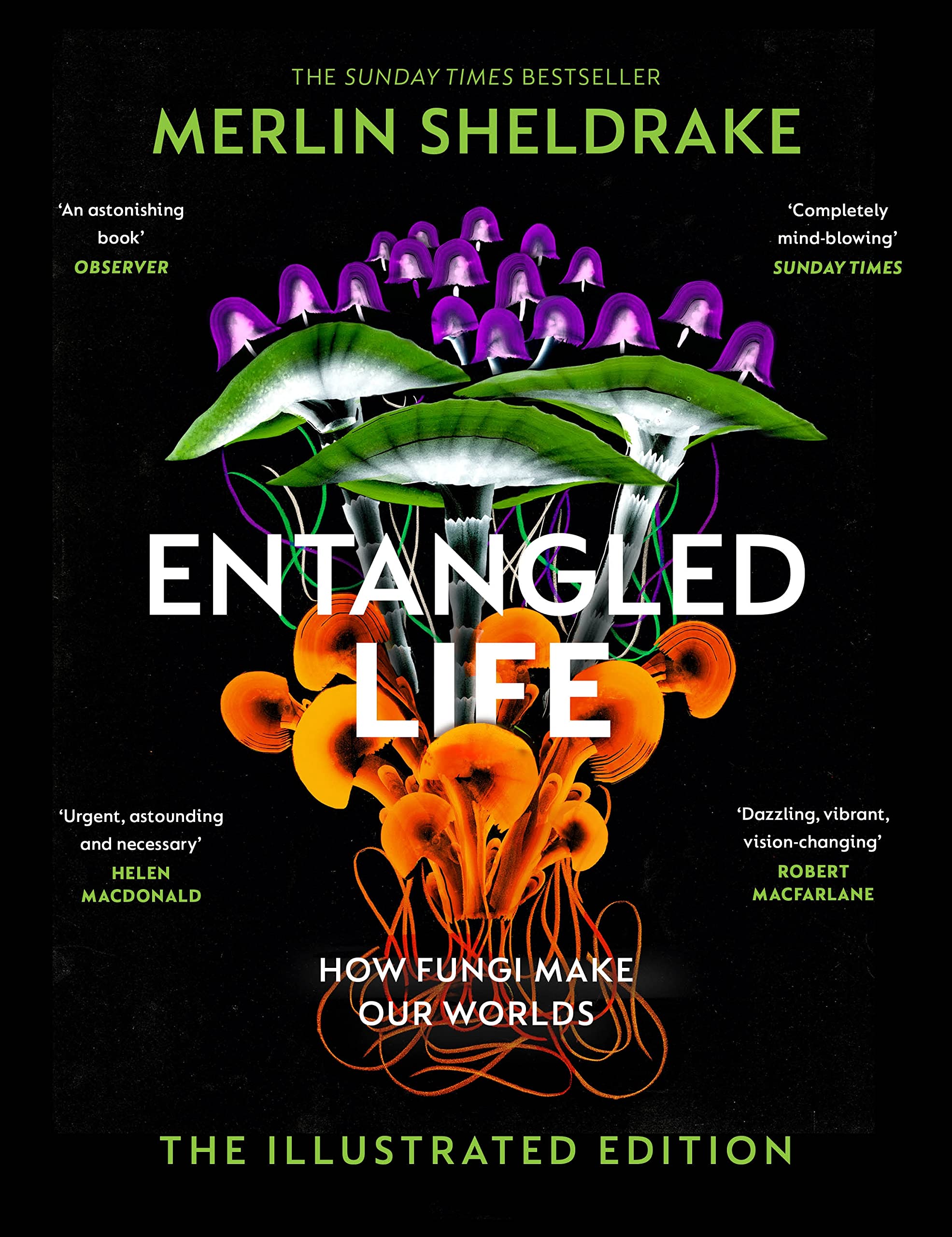 Entangled Life How Fungi Make Our Worlds The Illustrated Edition