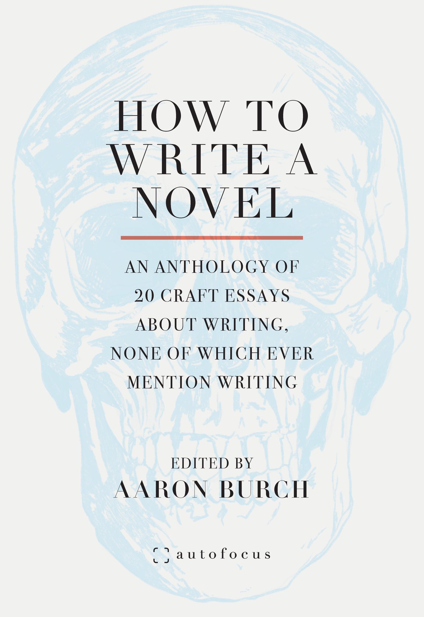 How to Write a Novel: An Anthology of 20 Craft Essays About Writing, None of Which Ever Mention Writing