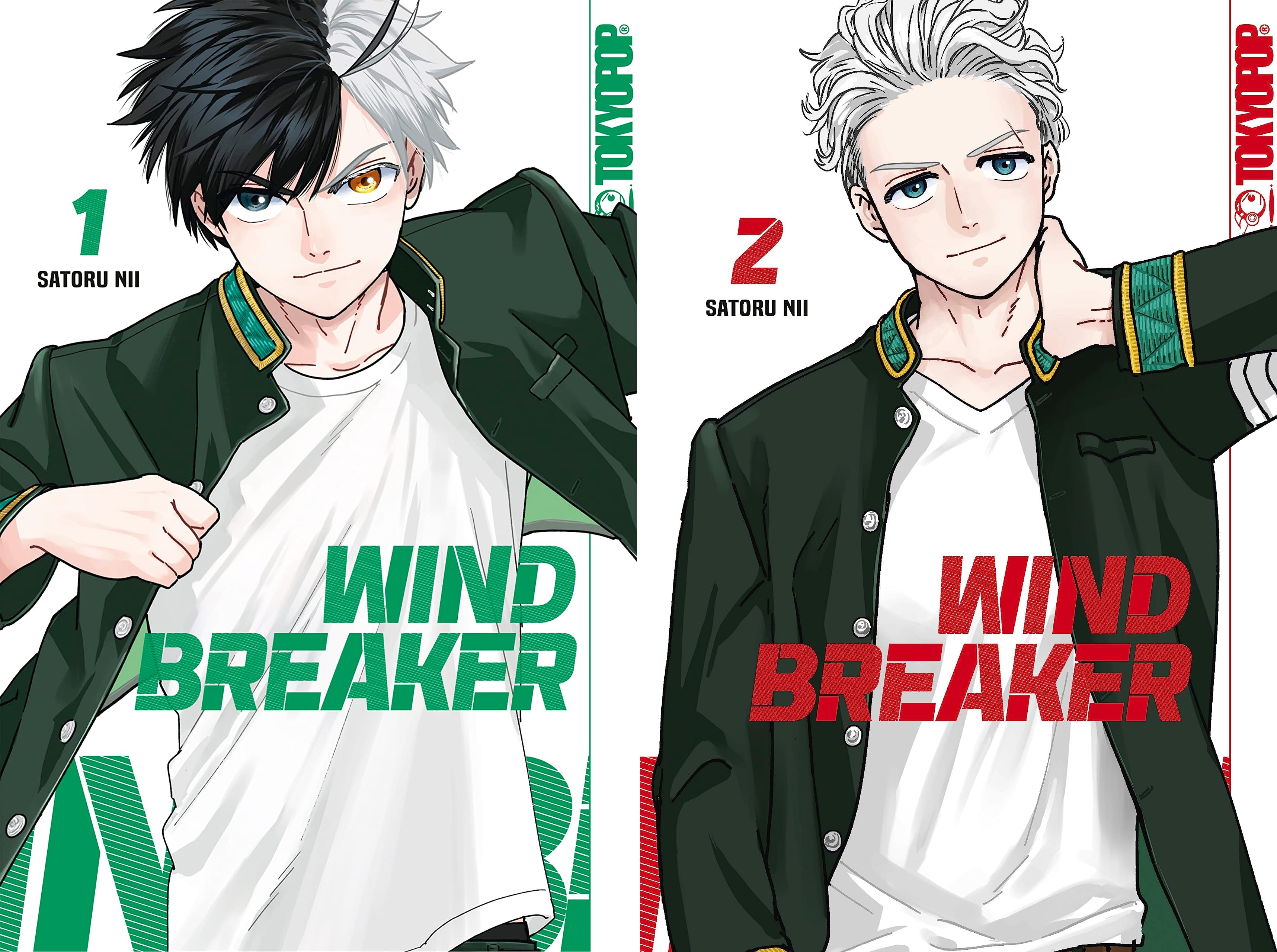Wind Breaker Nii Satoru