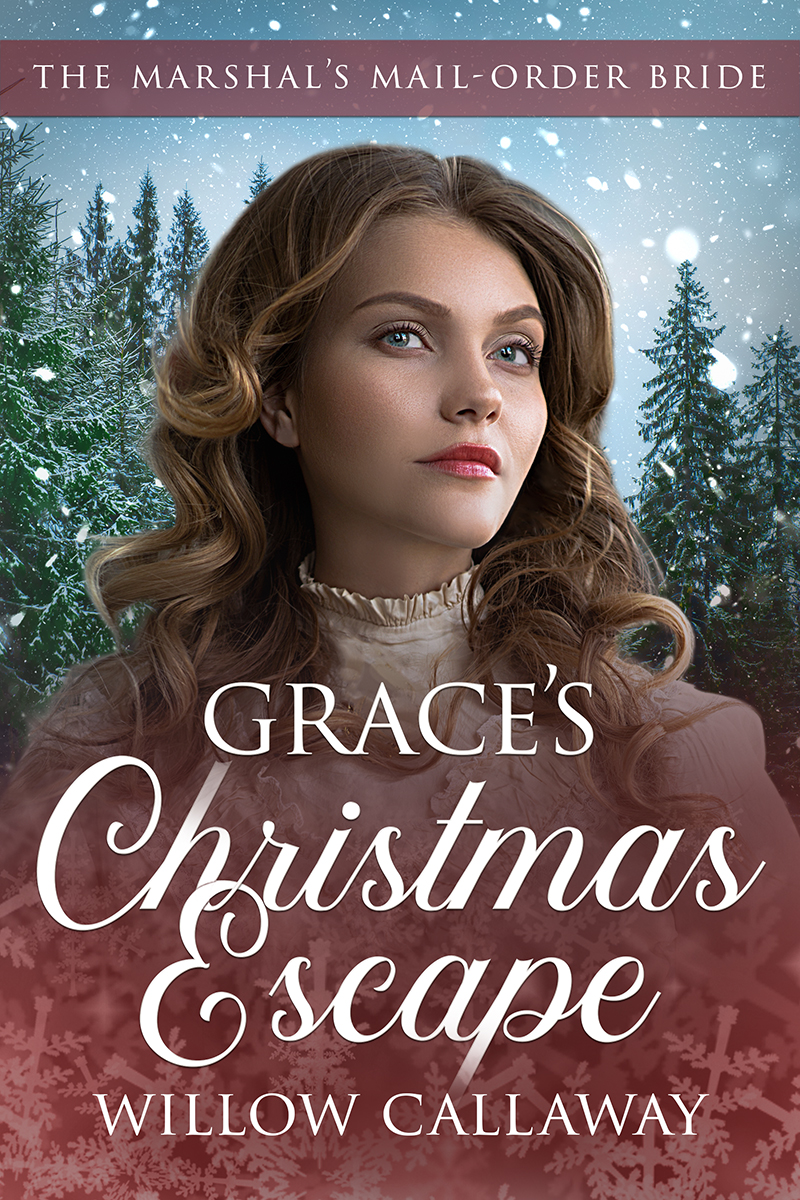 The Marshal’s Mail Order Bride book cover 2