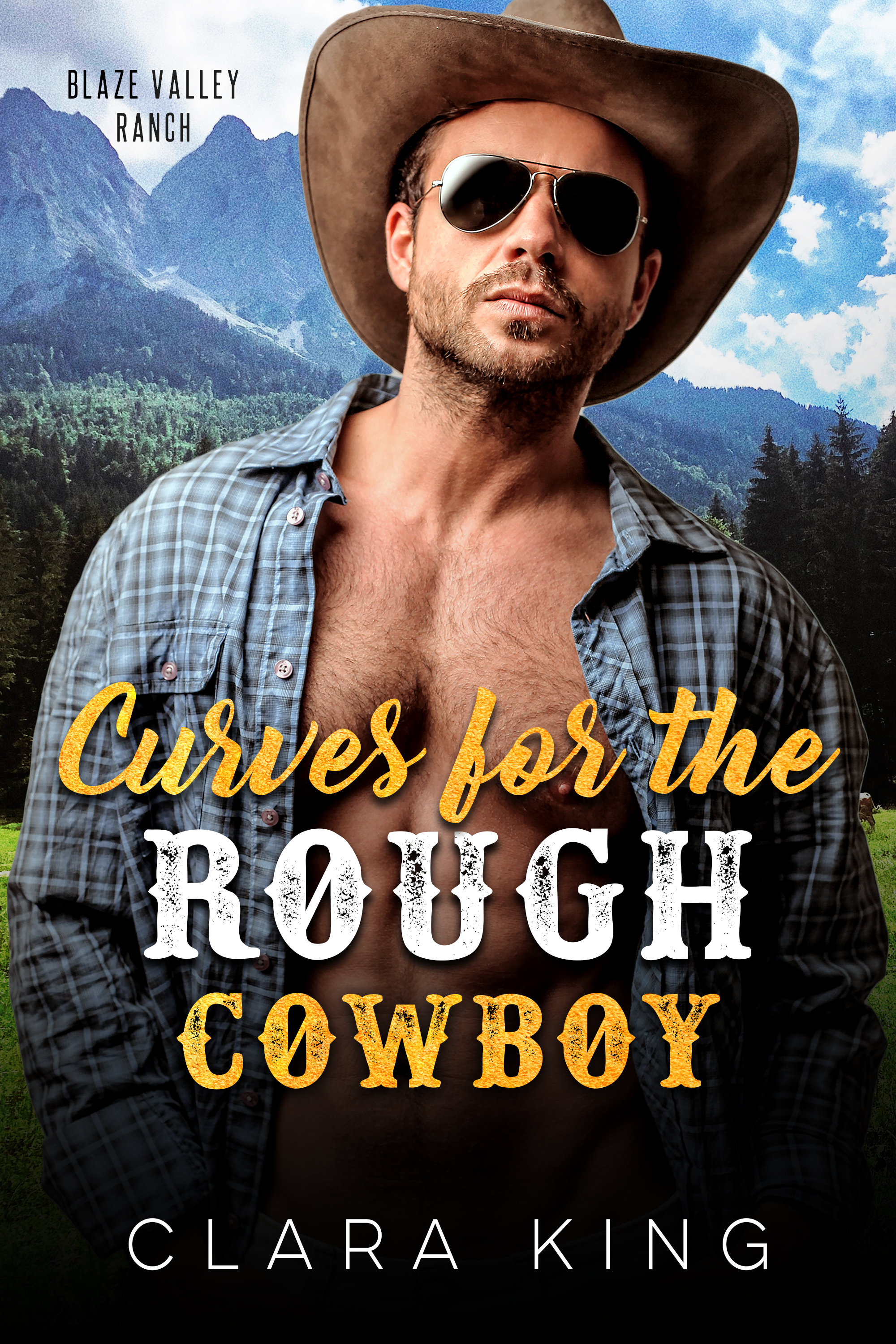 Crave County: Blaze Valley Ranch book cover 1