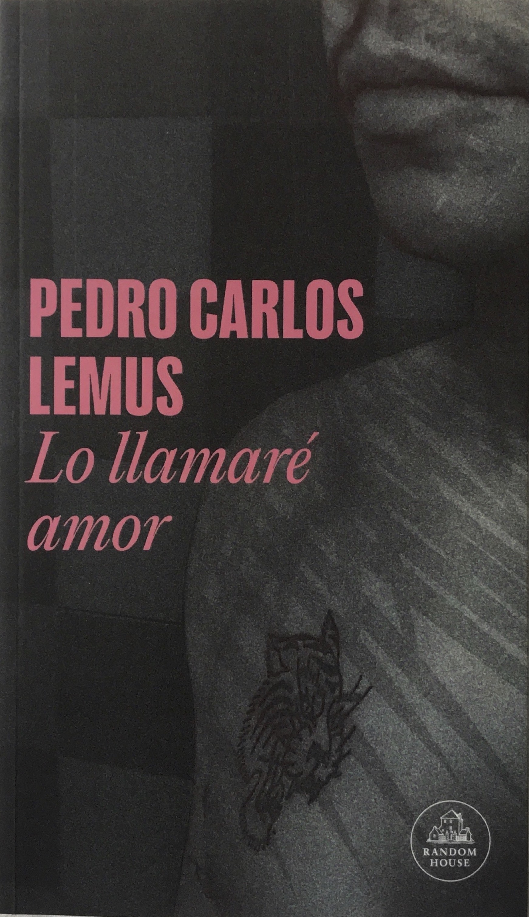 Lo llamaré amor book cover