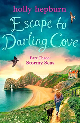 Stormy Seas book cover
