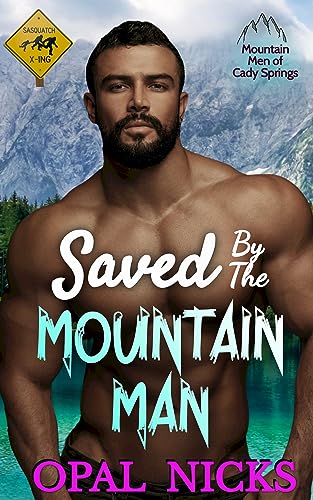 Mountain Men of Cady Springs book cover 2