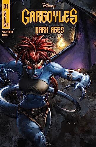 Gargoyles: Dark Ages book cover 1