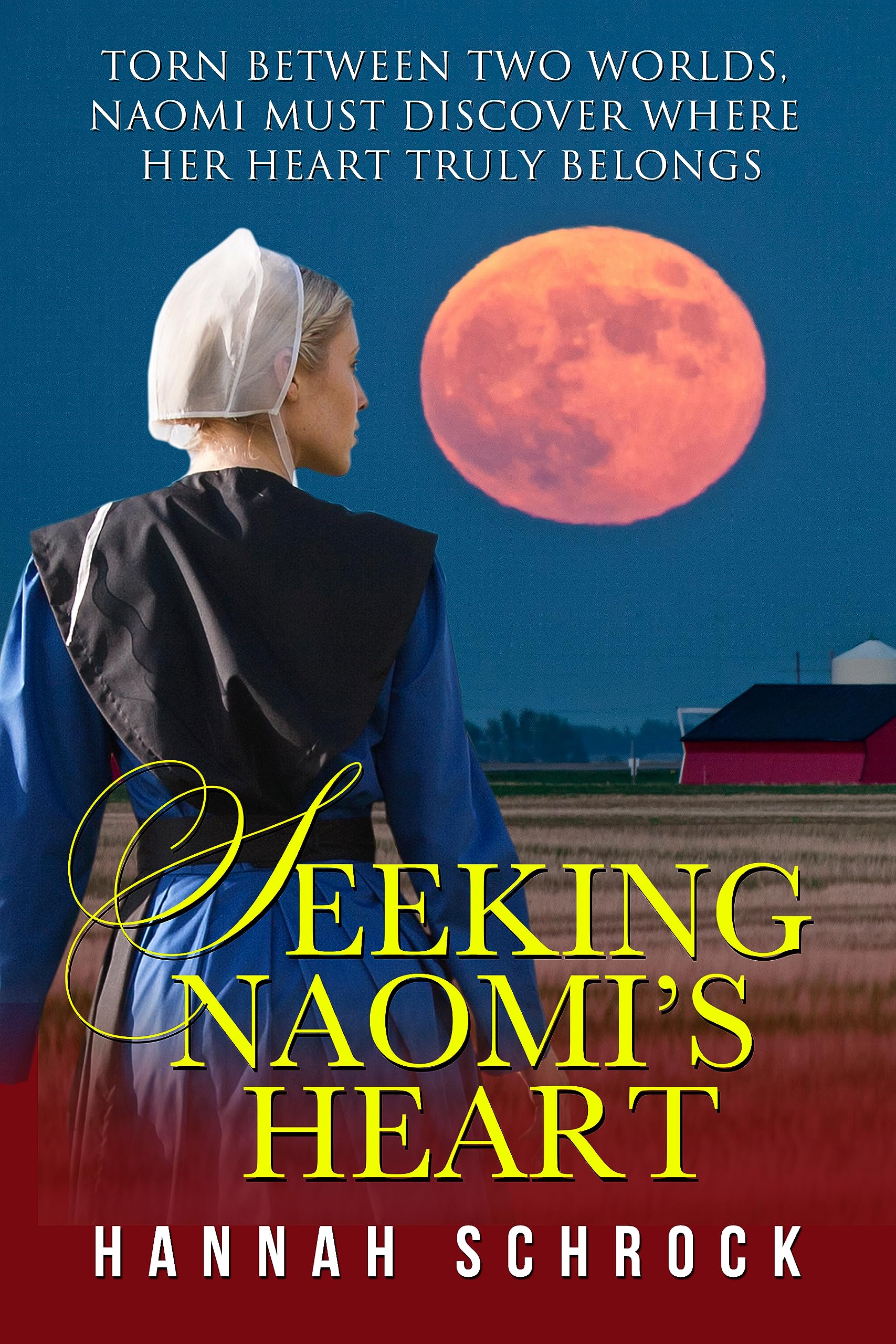 Seeking Naomi's Heart book cover