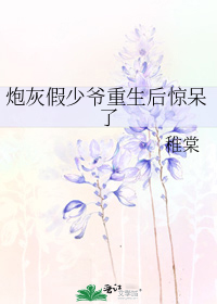 Cannon Fodder Fake Master Was Stunned After Being Reborn 炮灰假少爷重生后惊呆了