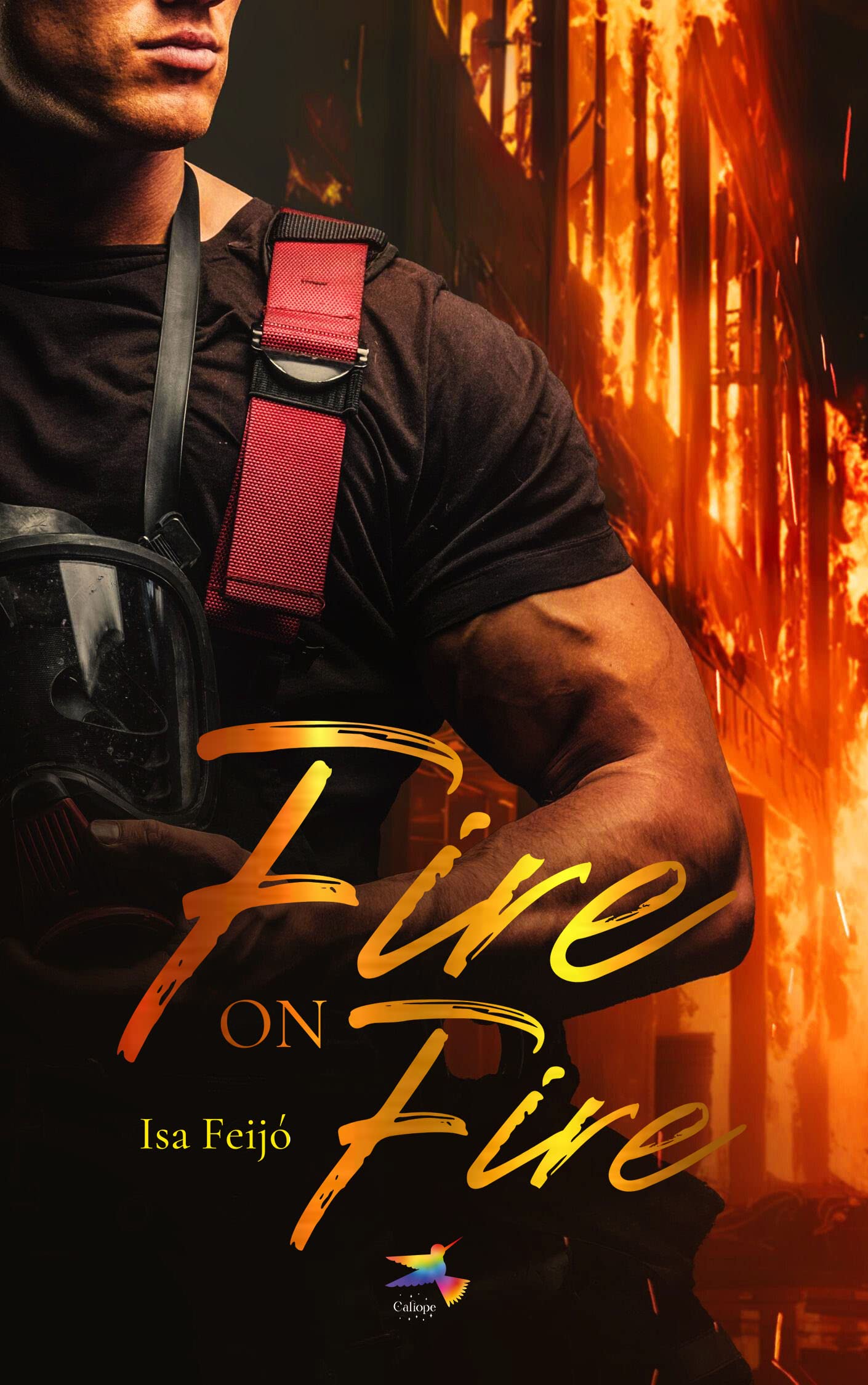Fire On Fire (Mitchell’s Livro 3)