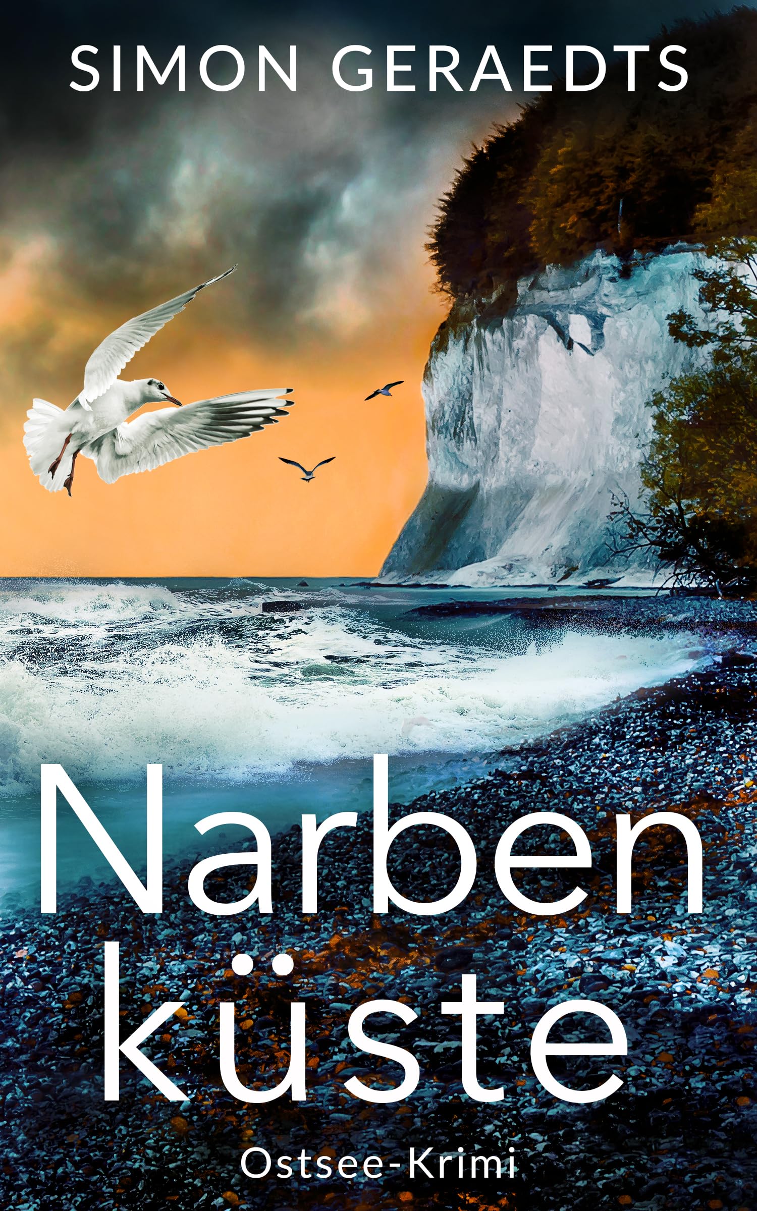 Narbenküste: Ostsee-Krimi (Sophie Jensen ermittelt 6)