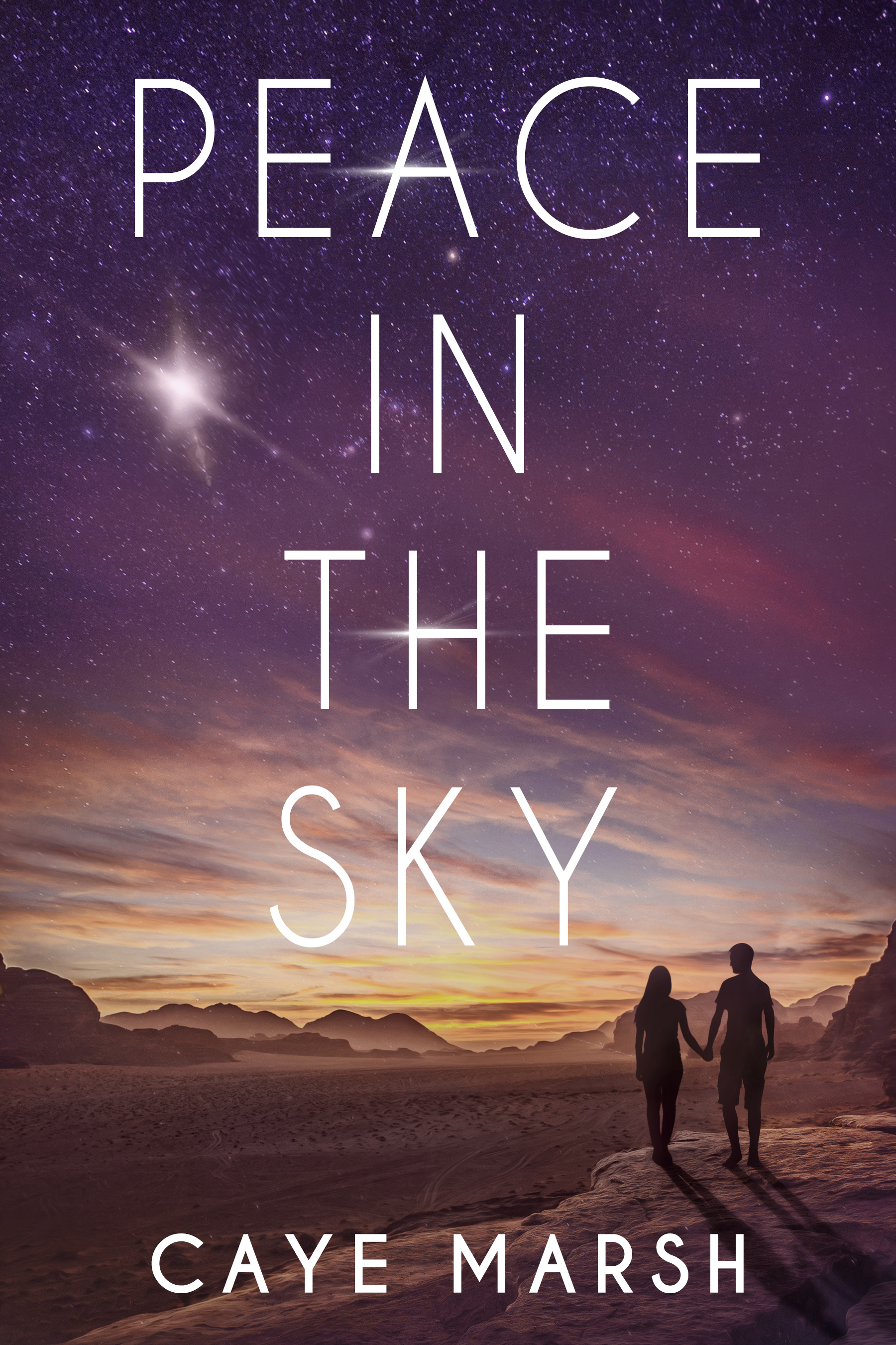 Peace in the Sky book cover