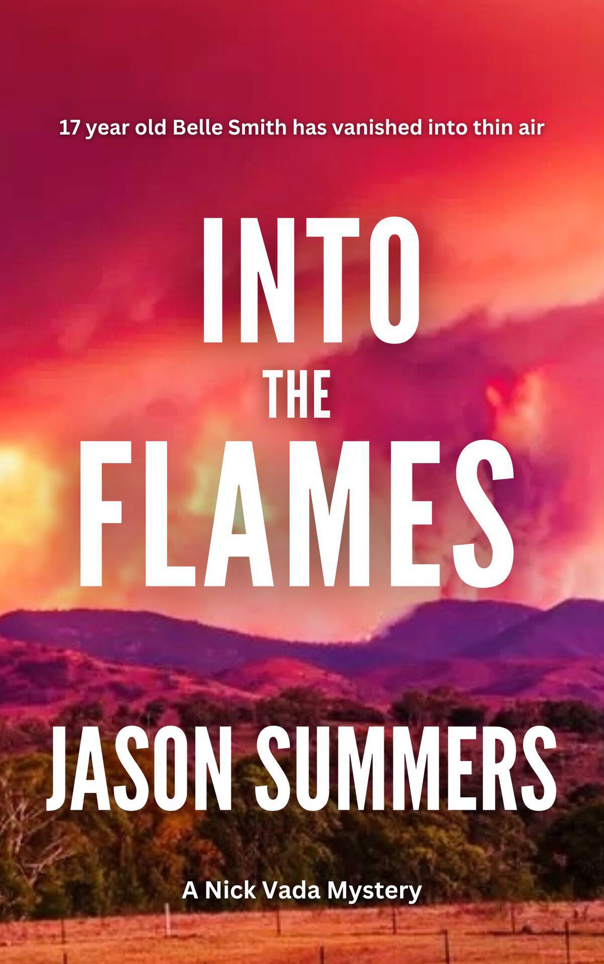Into The Flames: Australian Crime Mystery