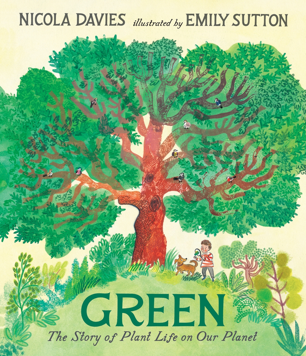 Green book cover